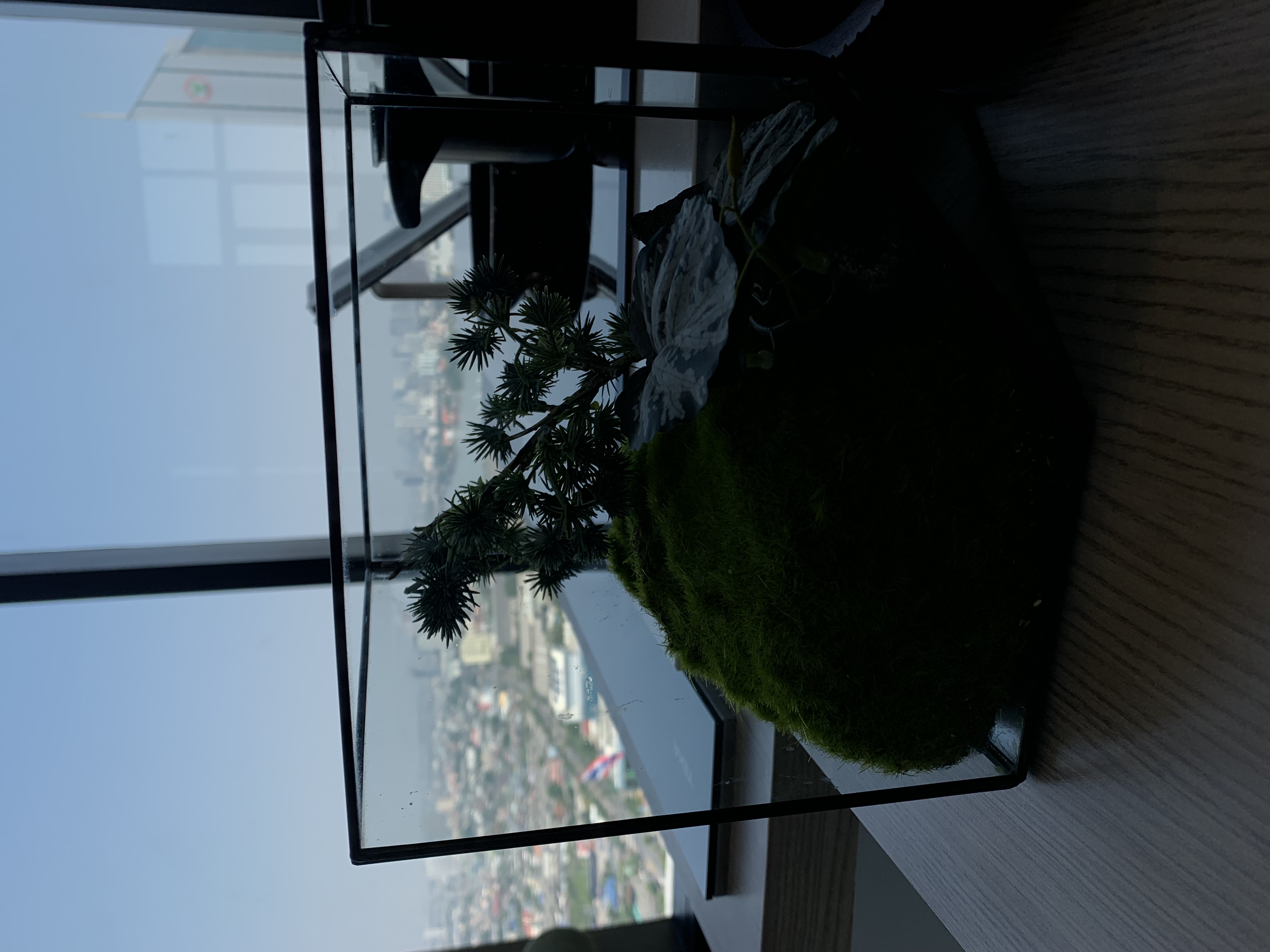 my brother’s condominium16.jpg
