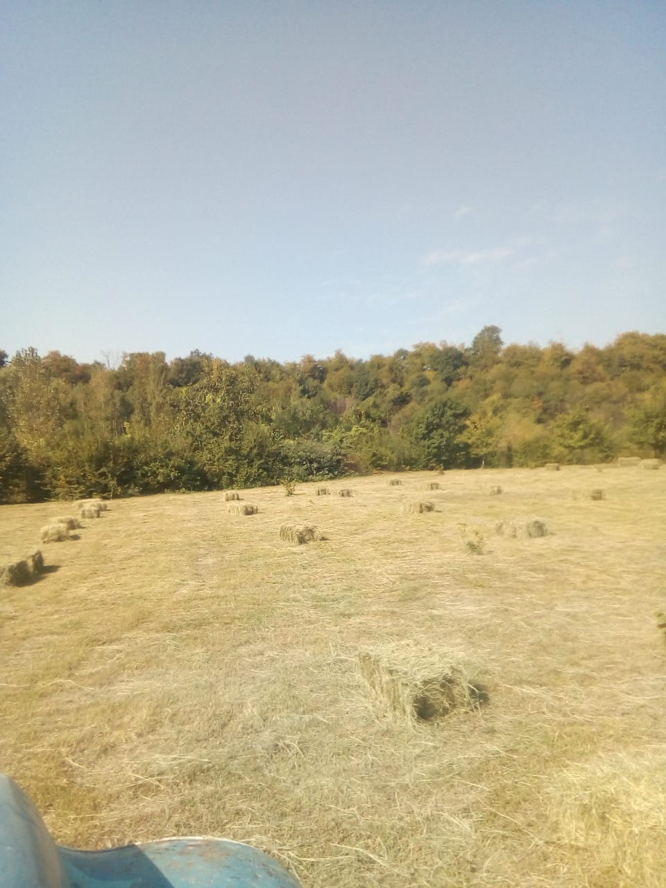 IMG-20180908-WA0002.jpg