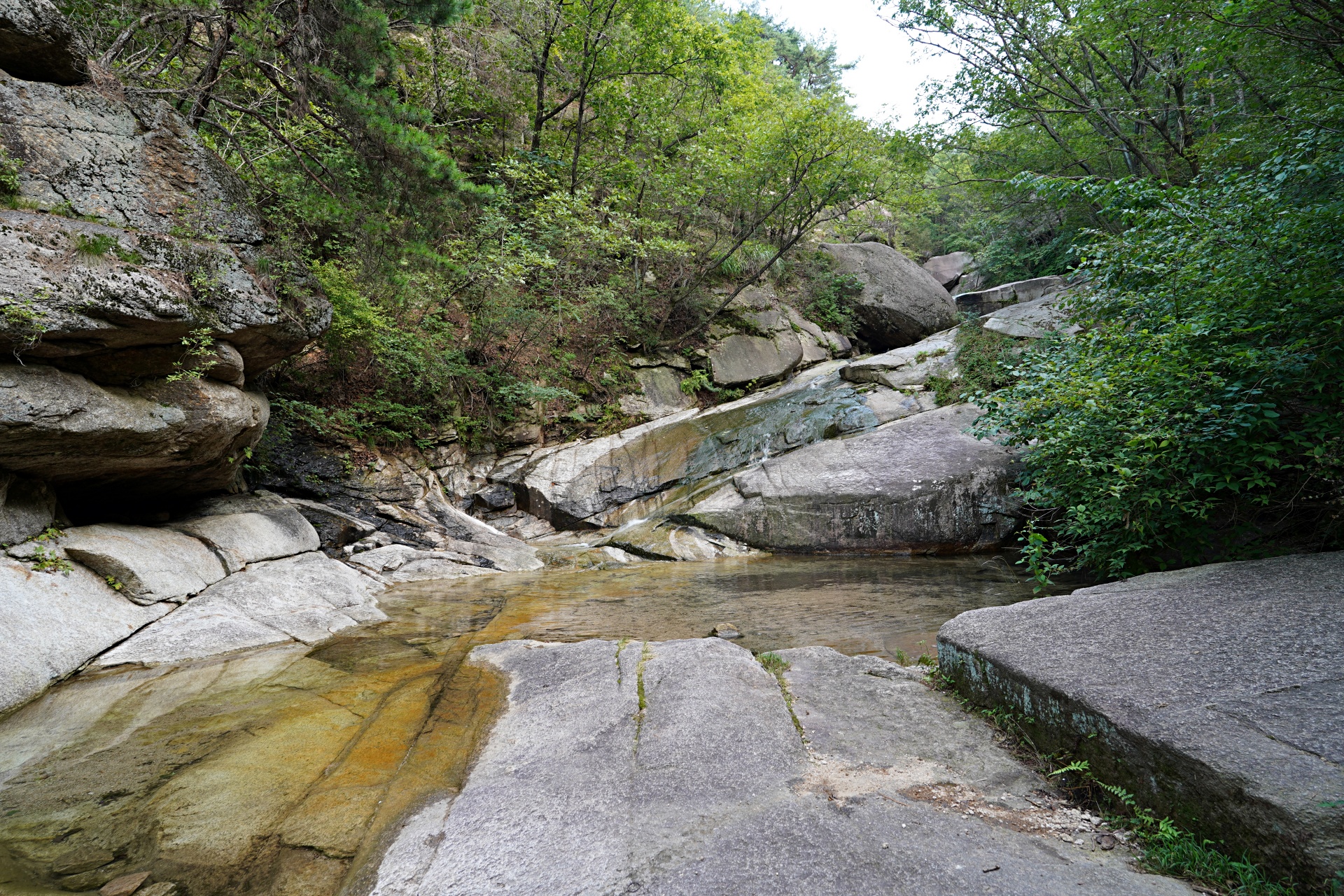 b-DSC09880.JPG