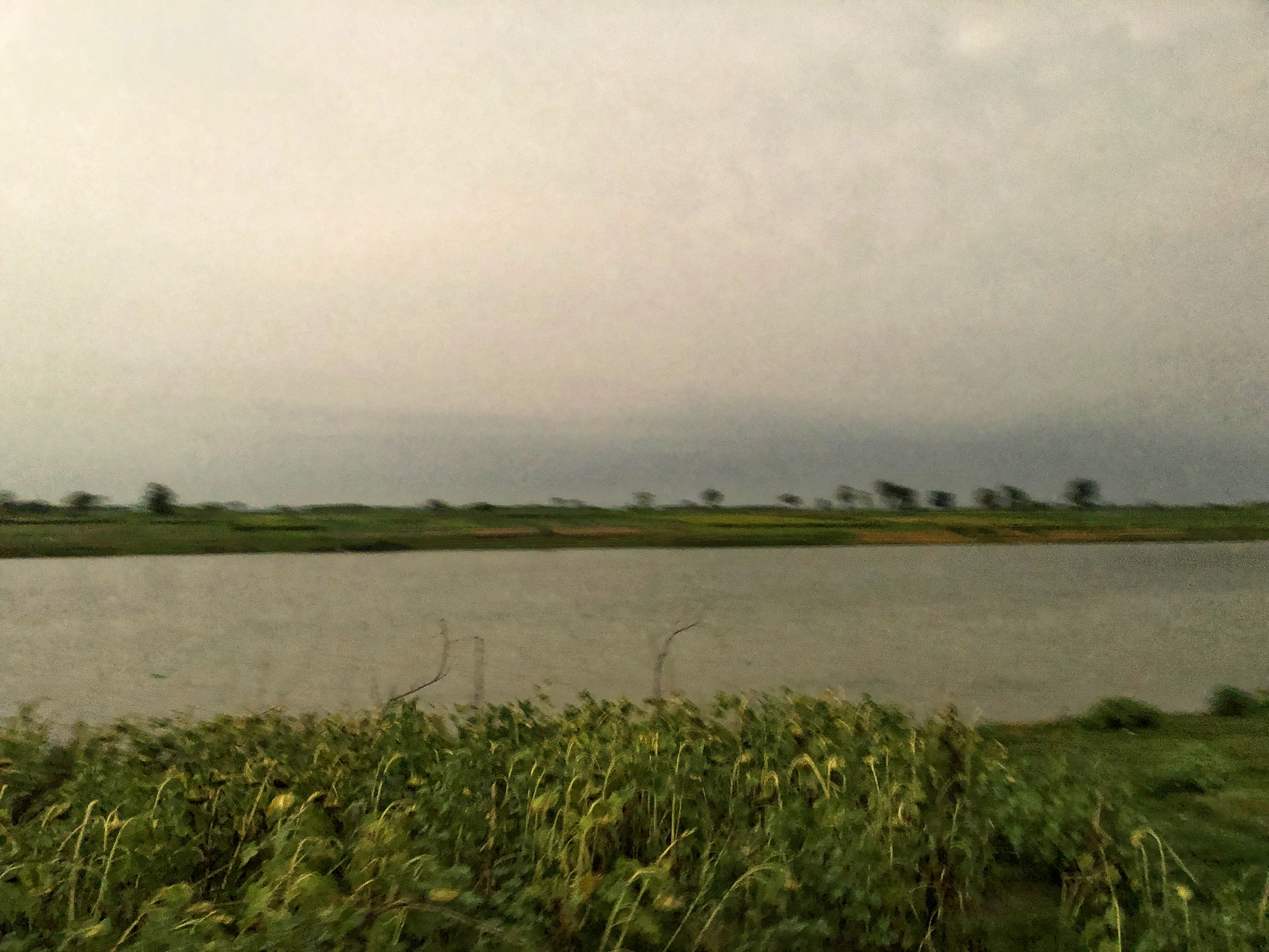 19948.jpg