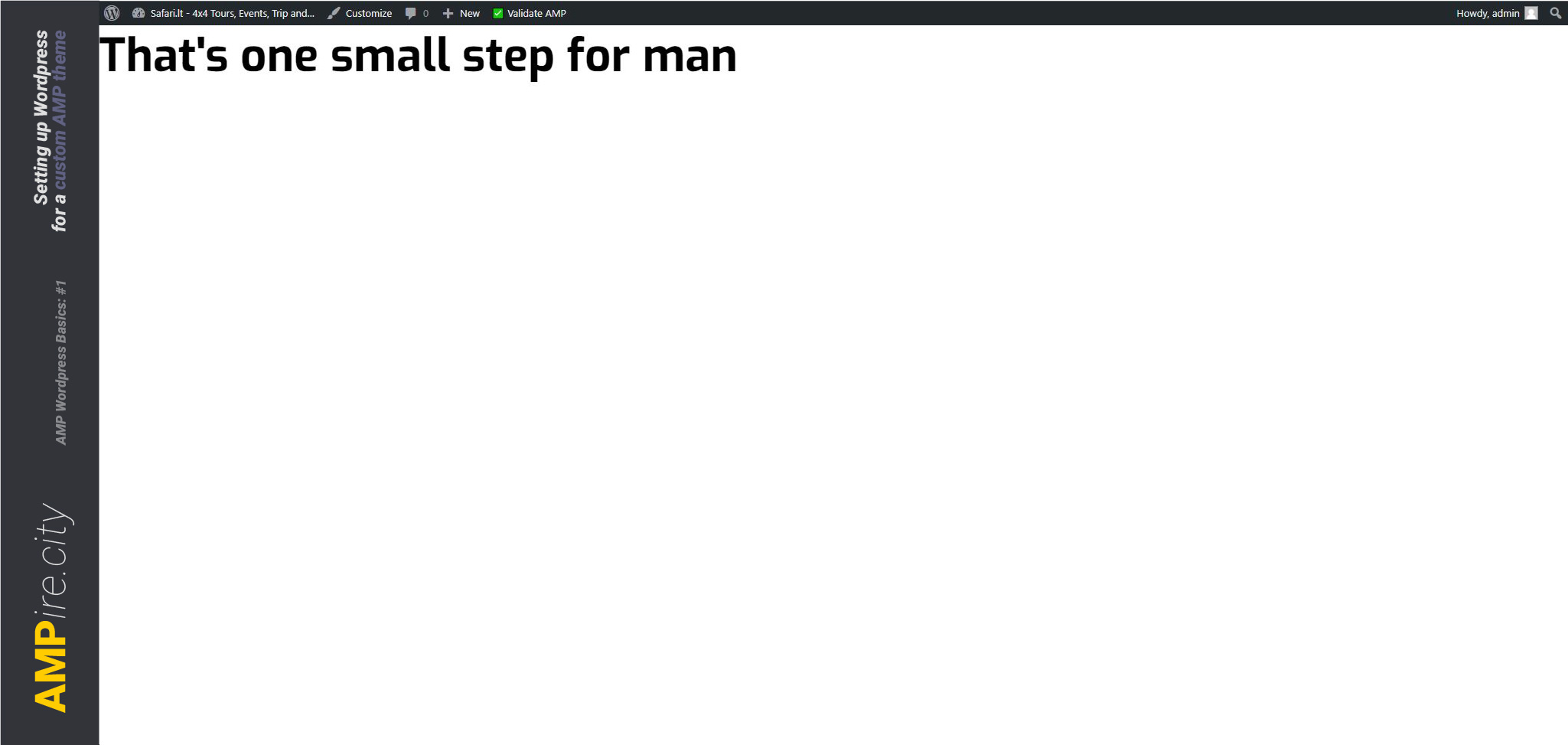 Steps_setting-up-wordpress-for=a=custom-amp-theme-1 copy 5.jpg