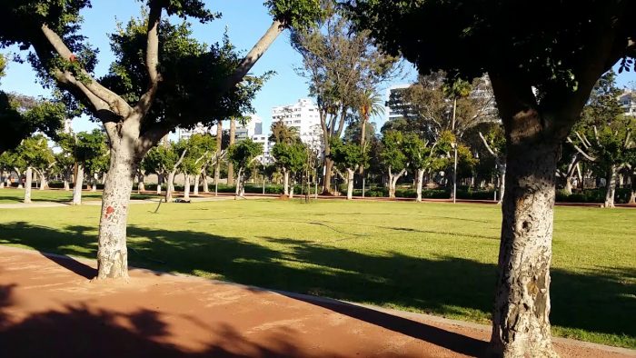 88-700x394.jpg