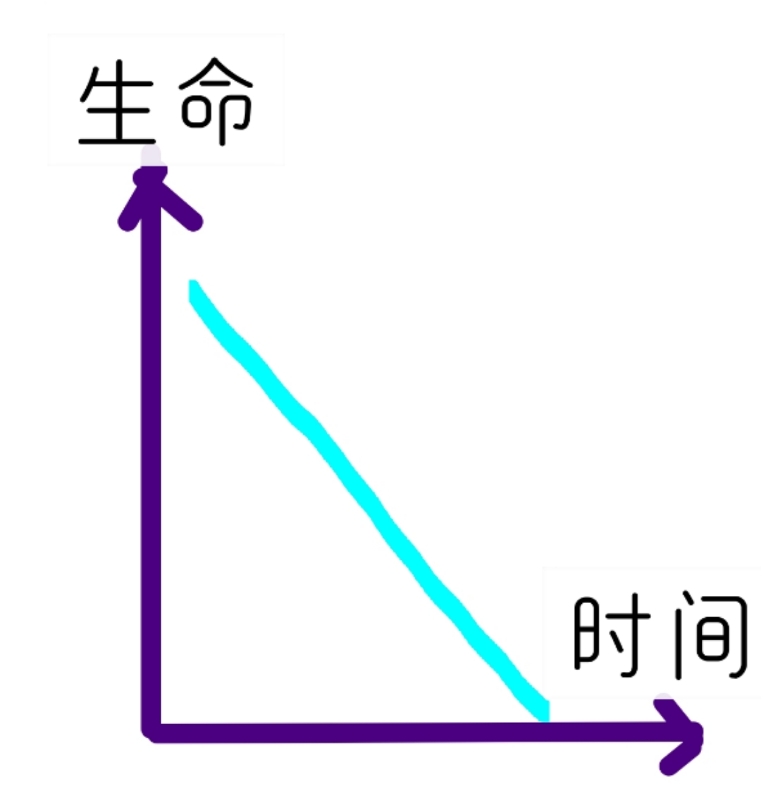 mmexport1575294344208.jpg