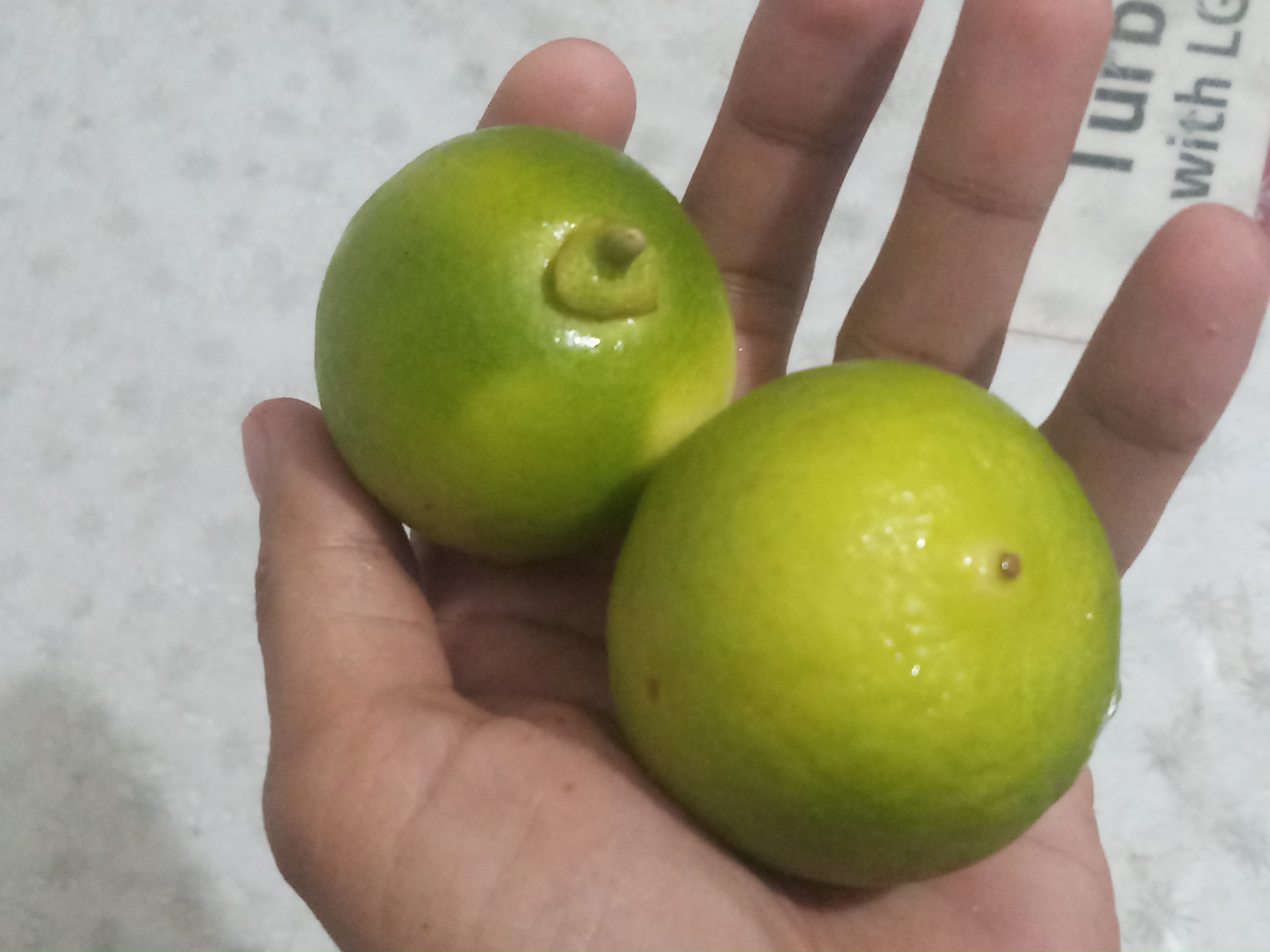 20191002_193926.jpg