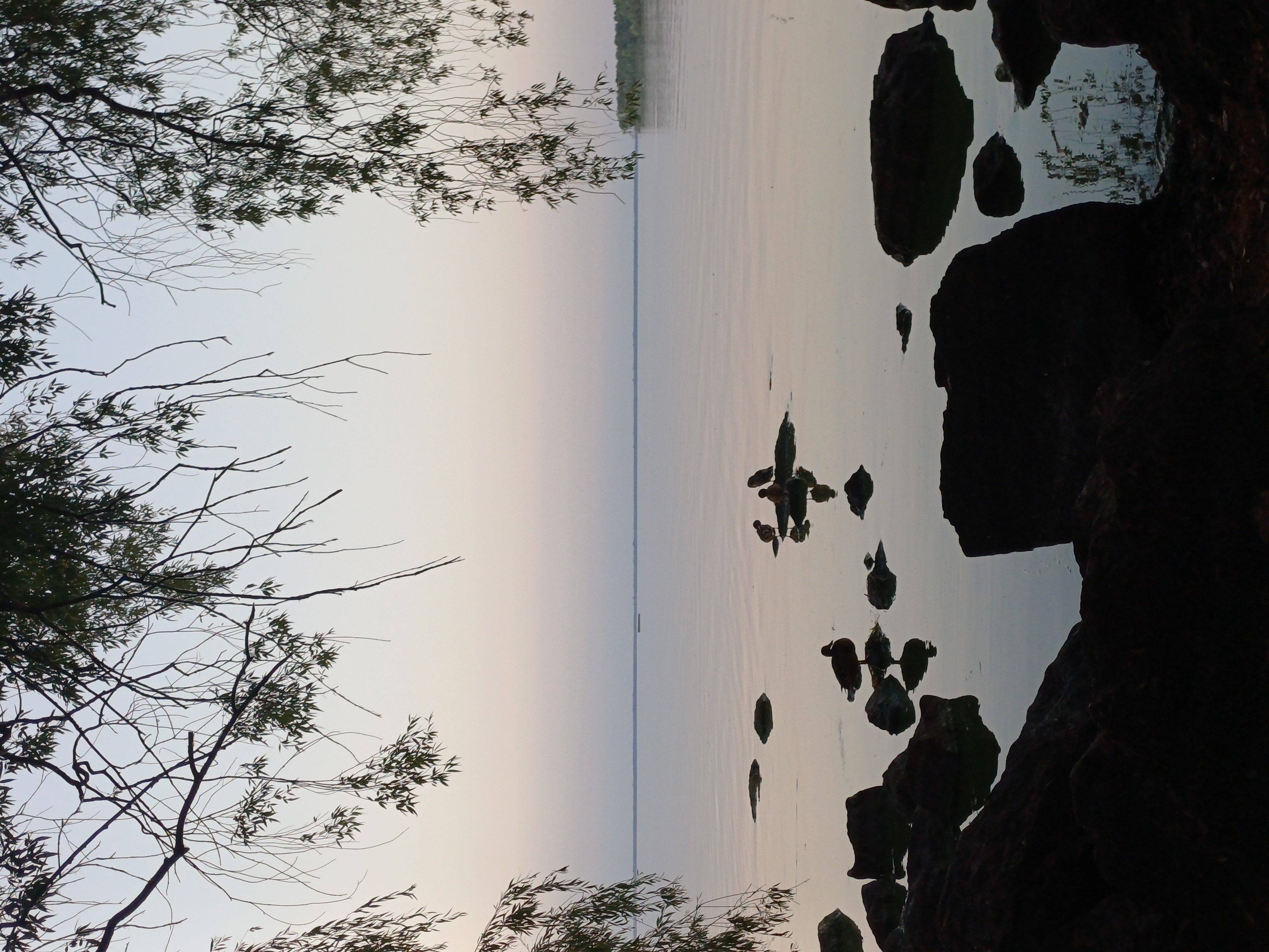 20260803_201939.jpg