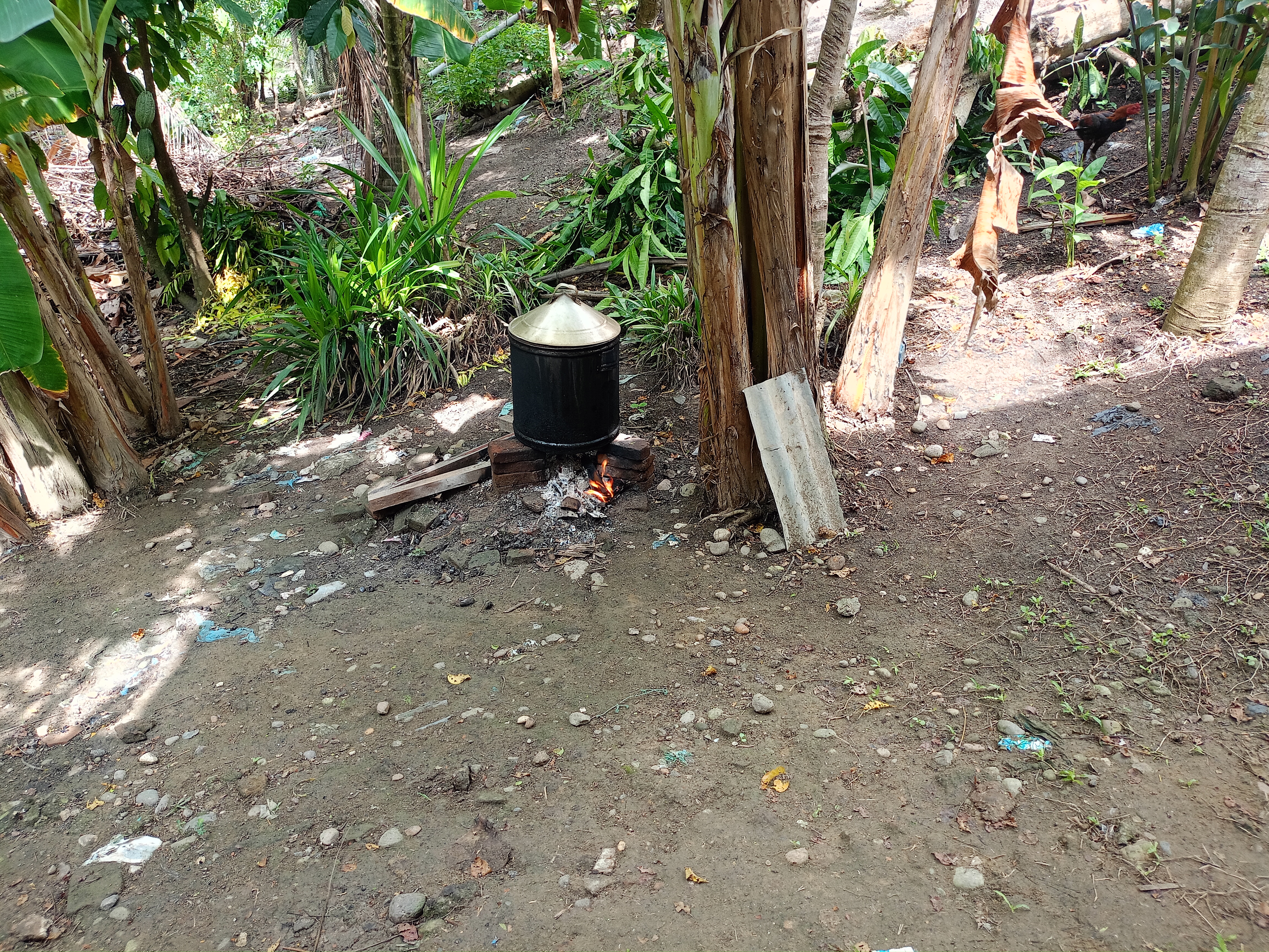 IMG20260419102701.jpg