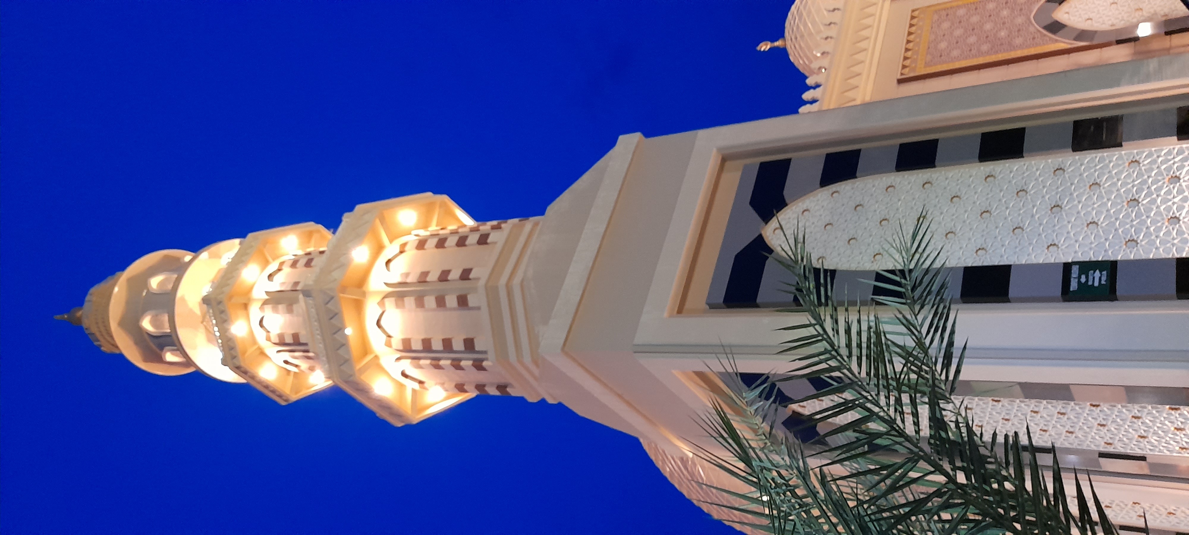 20200805_191147.jpg