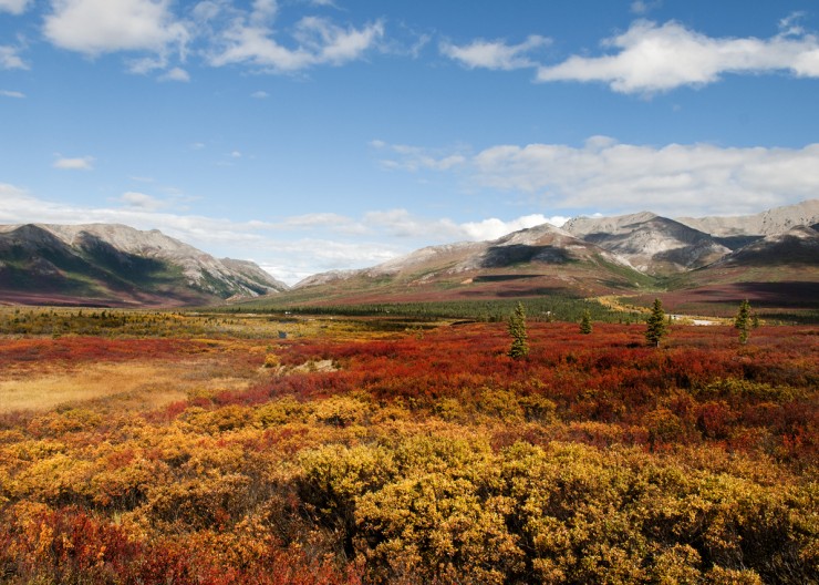Denali-1.jpg