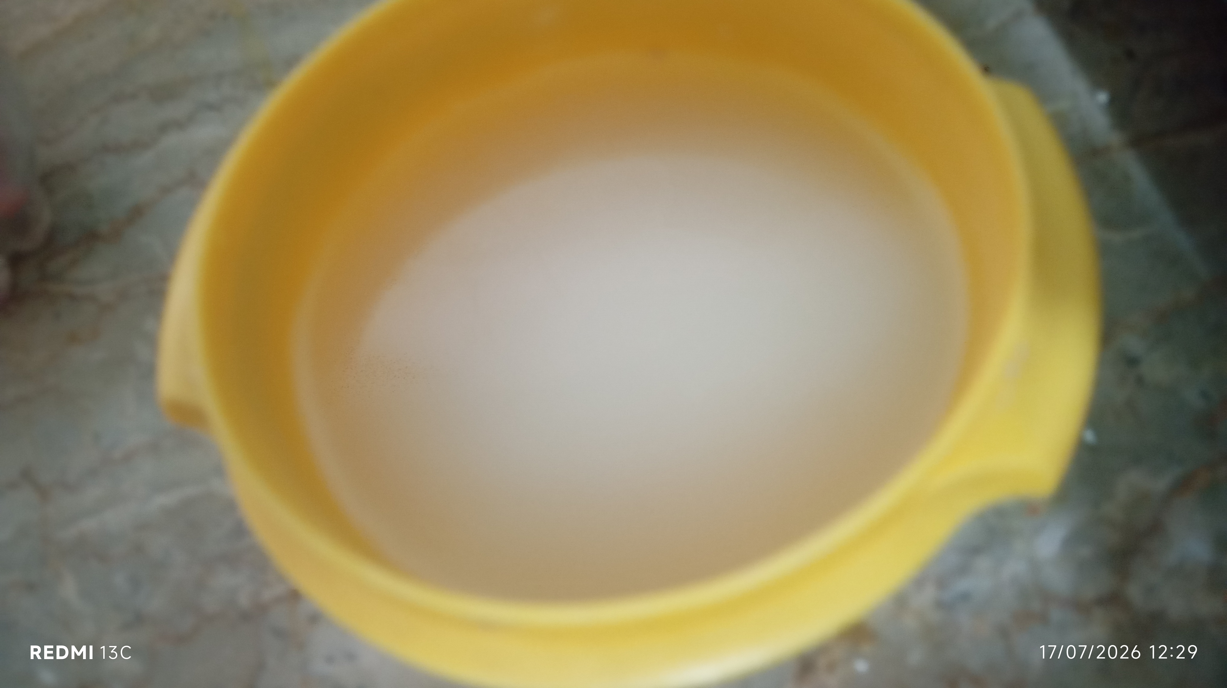 1000220442.jpg