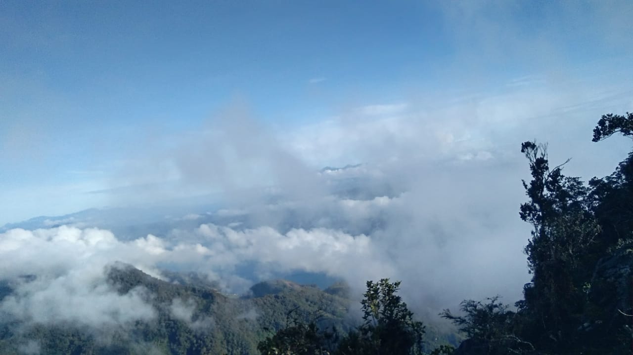 36461146-83E9-4DF4-BD48-5229007BF7B6.jpeg