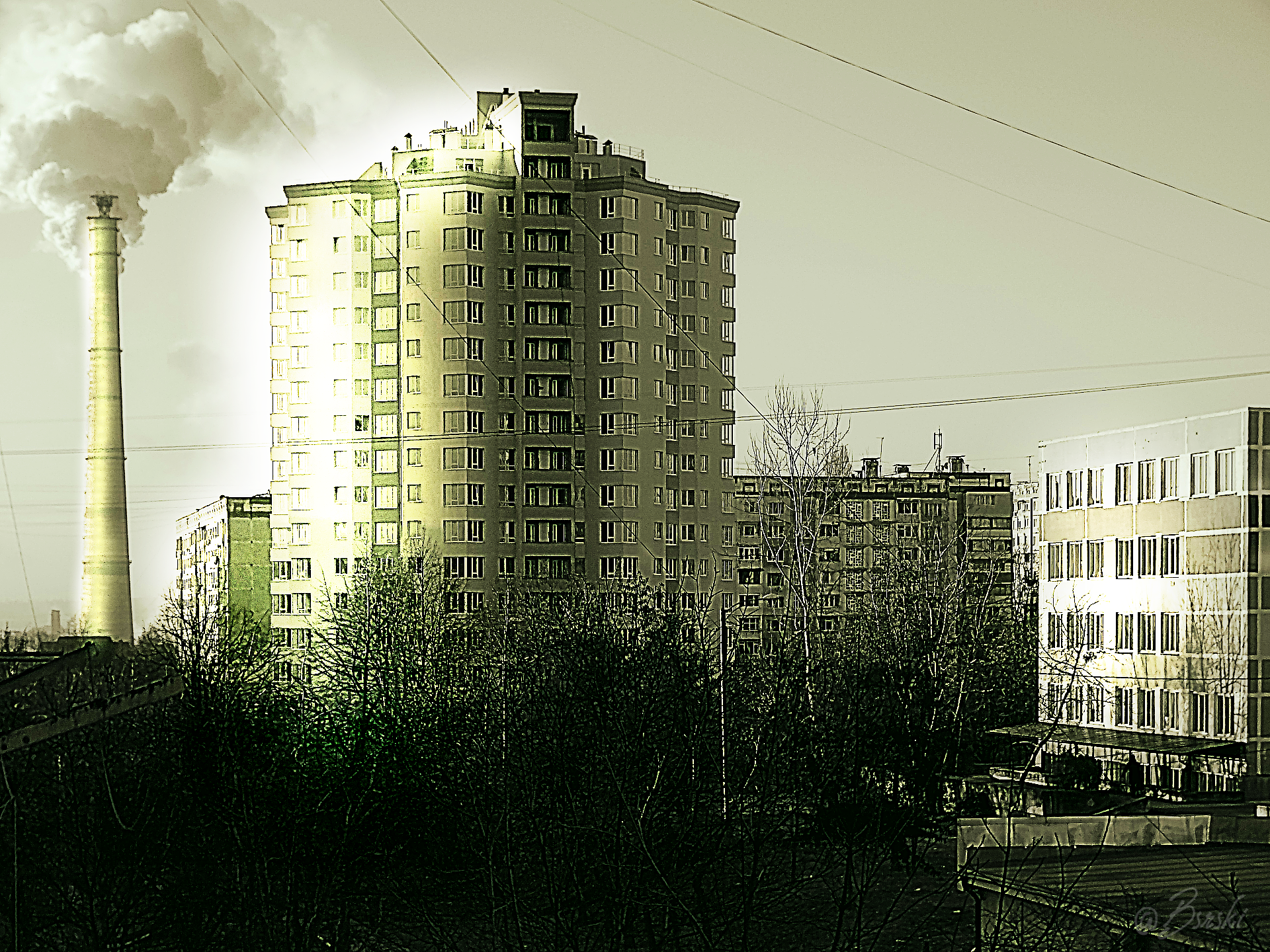 1eeerrDSC04502 (1).png