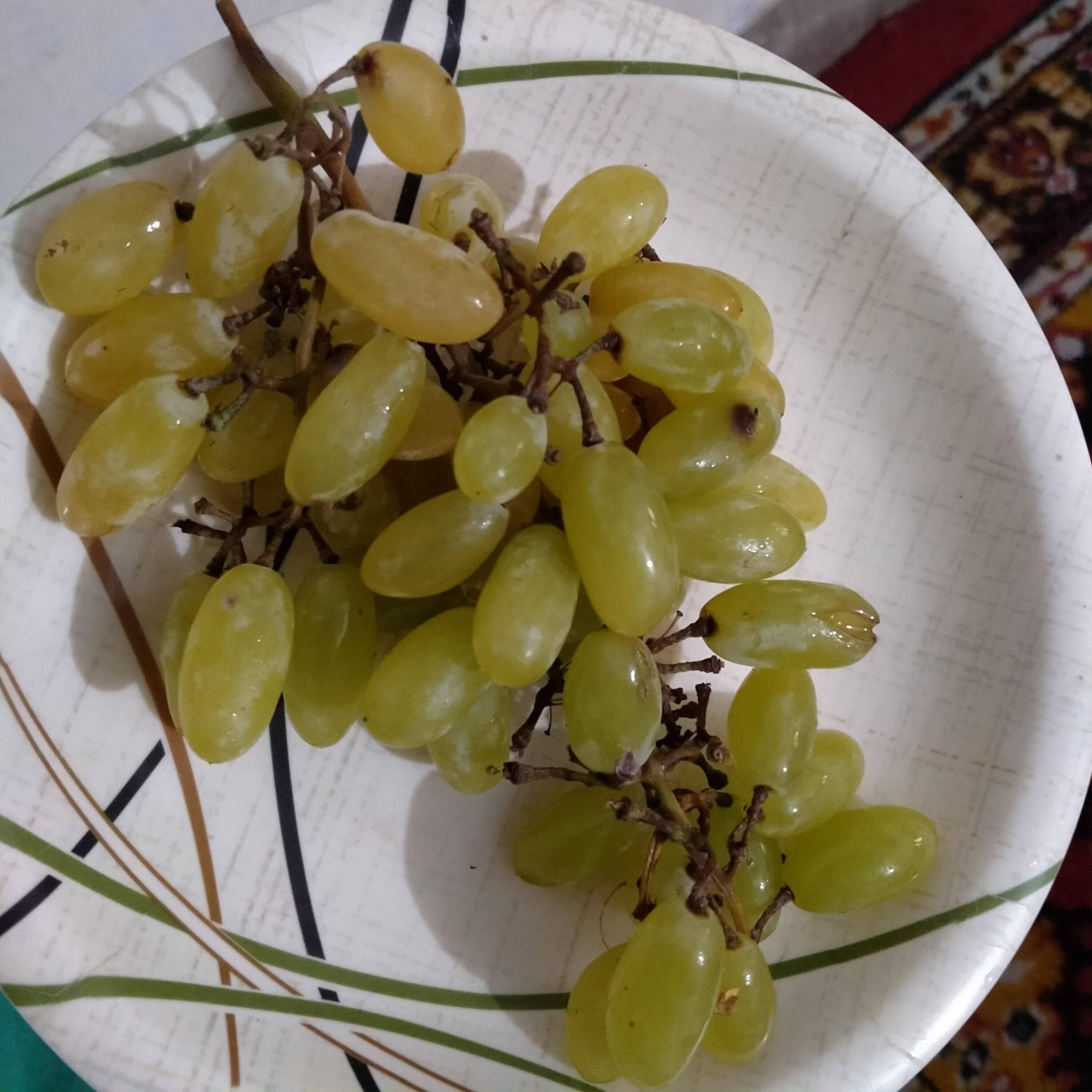 IMG20210810080814.jpg
