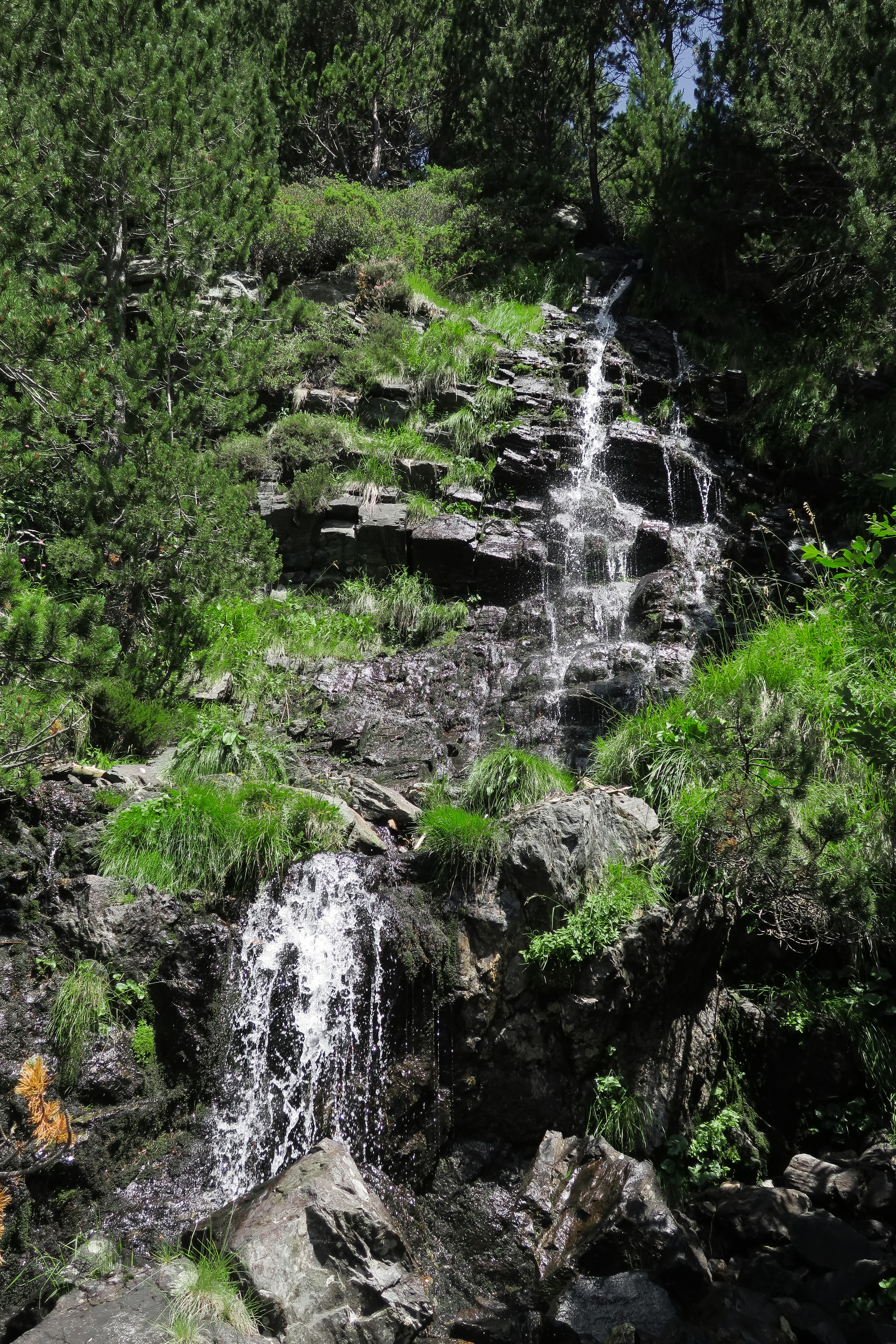 IMG_4549.jpg
