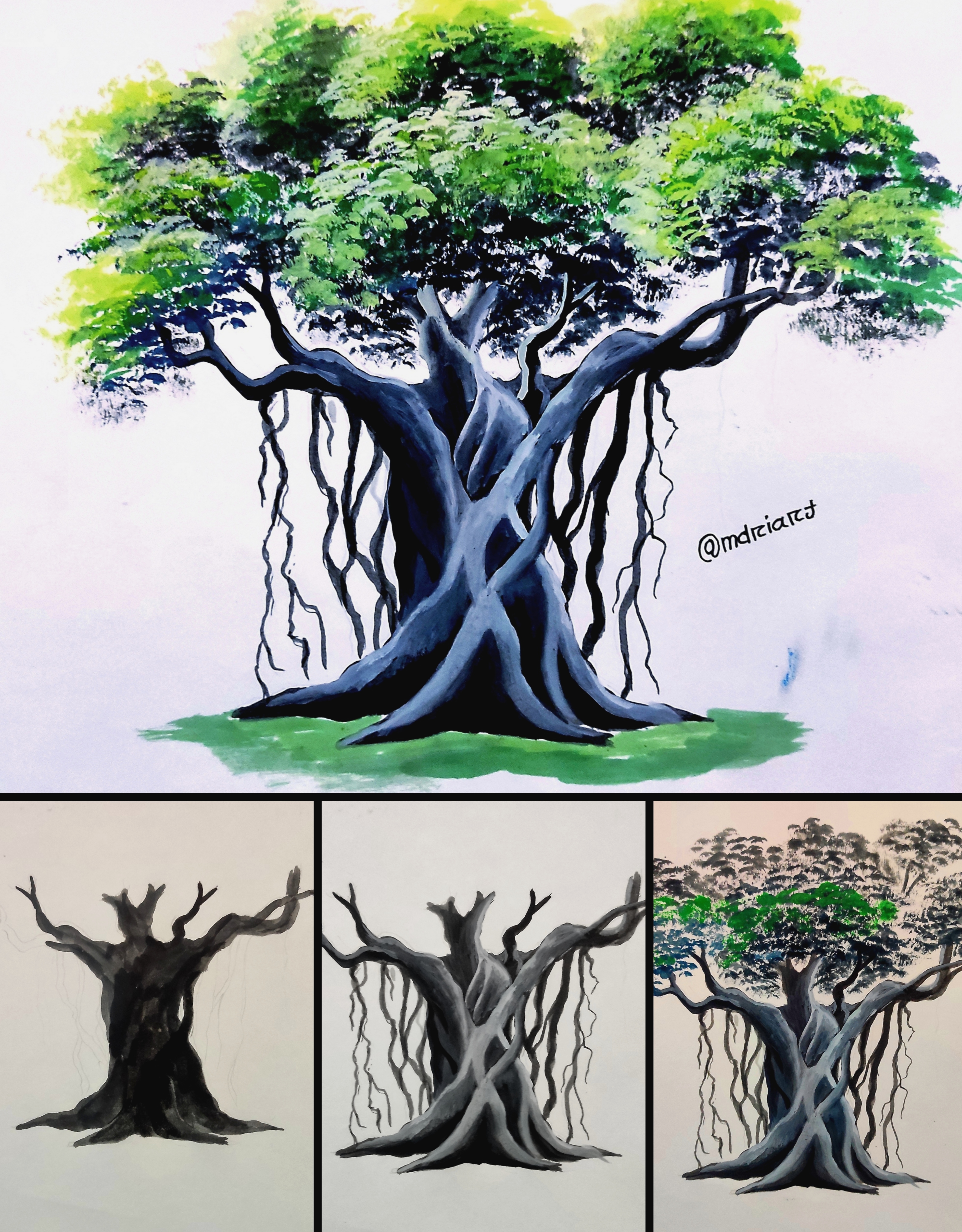 tree drawings colour