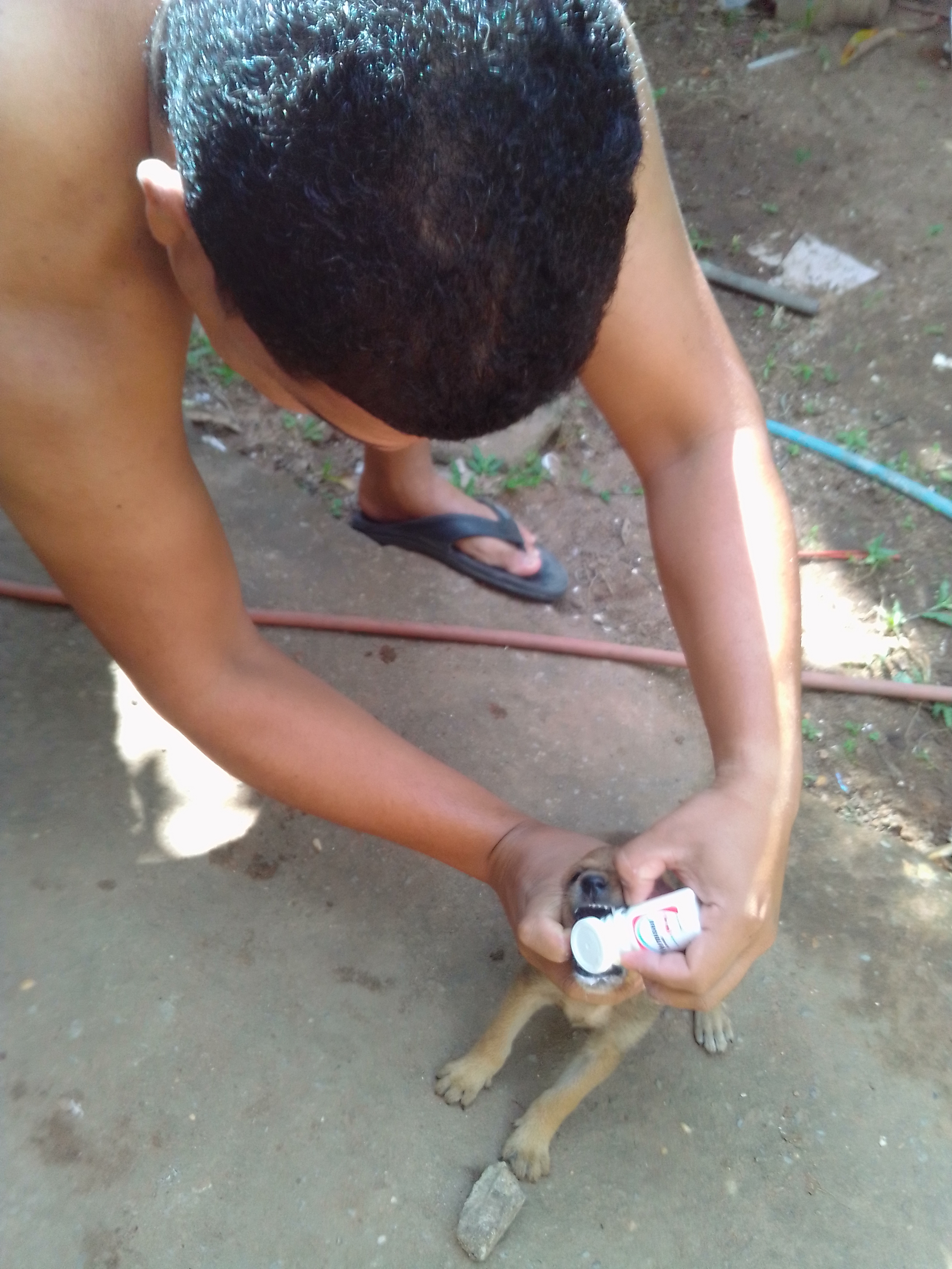 IMG_20220107_100112.jpg