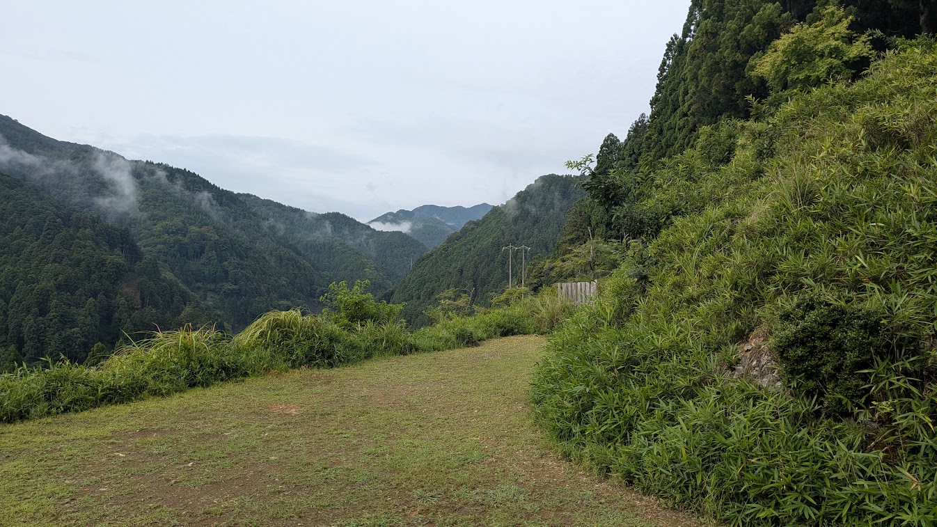 PXL_20260808_230902046.jpg