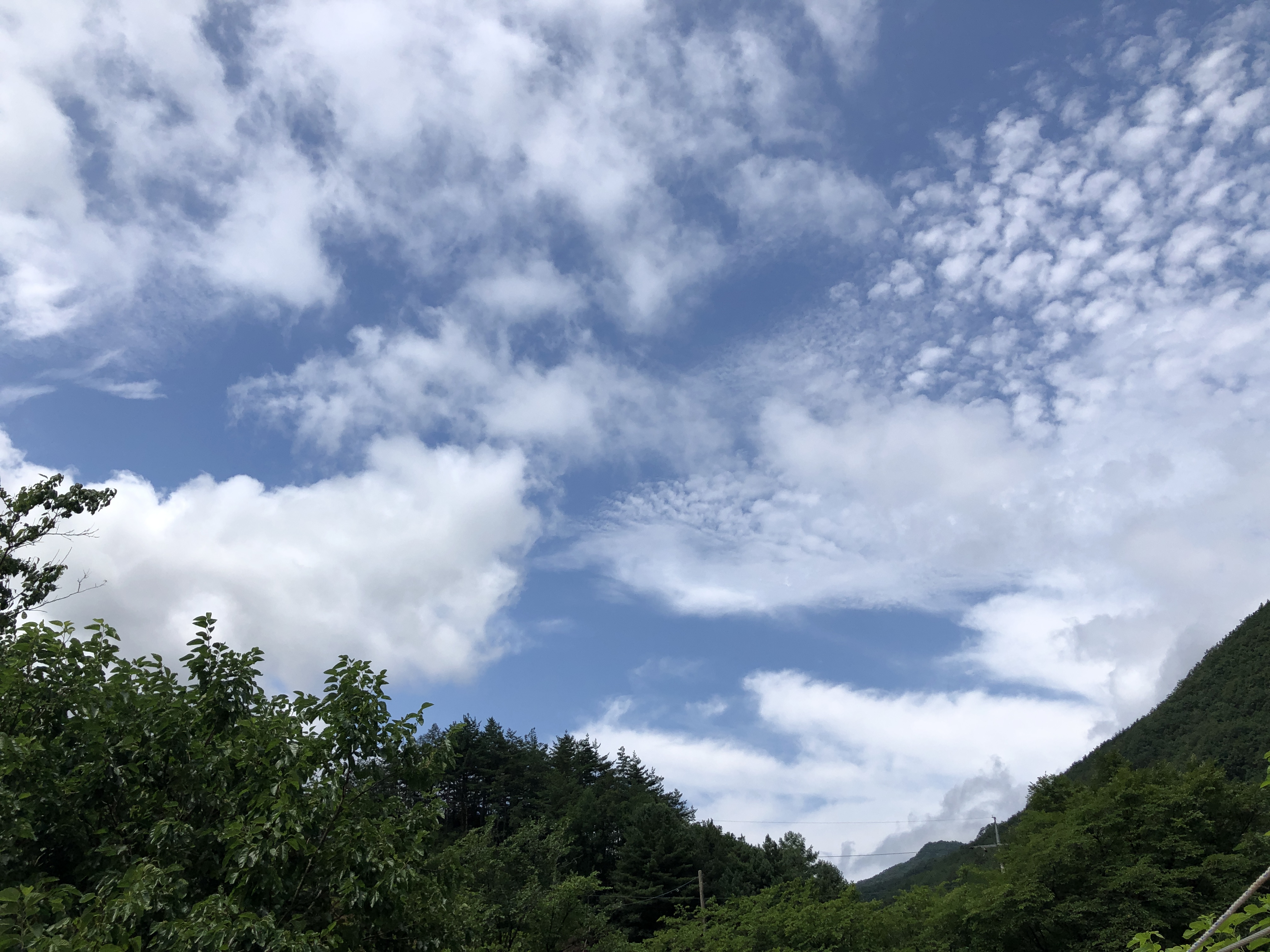 E05EBC9F-3C42-47A0-9710-6BF3D2084DF8.jpeg