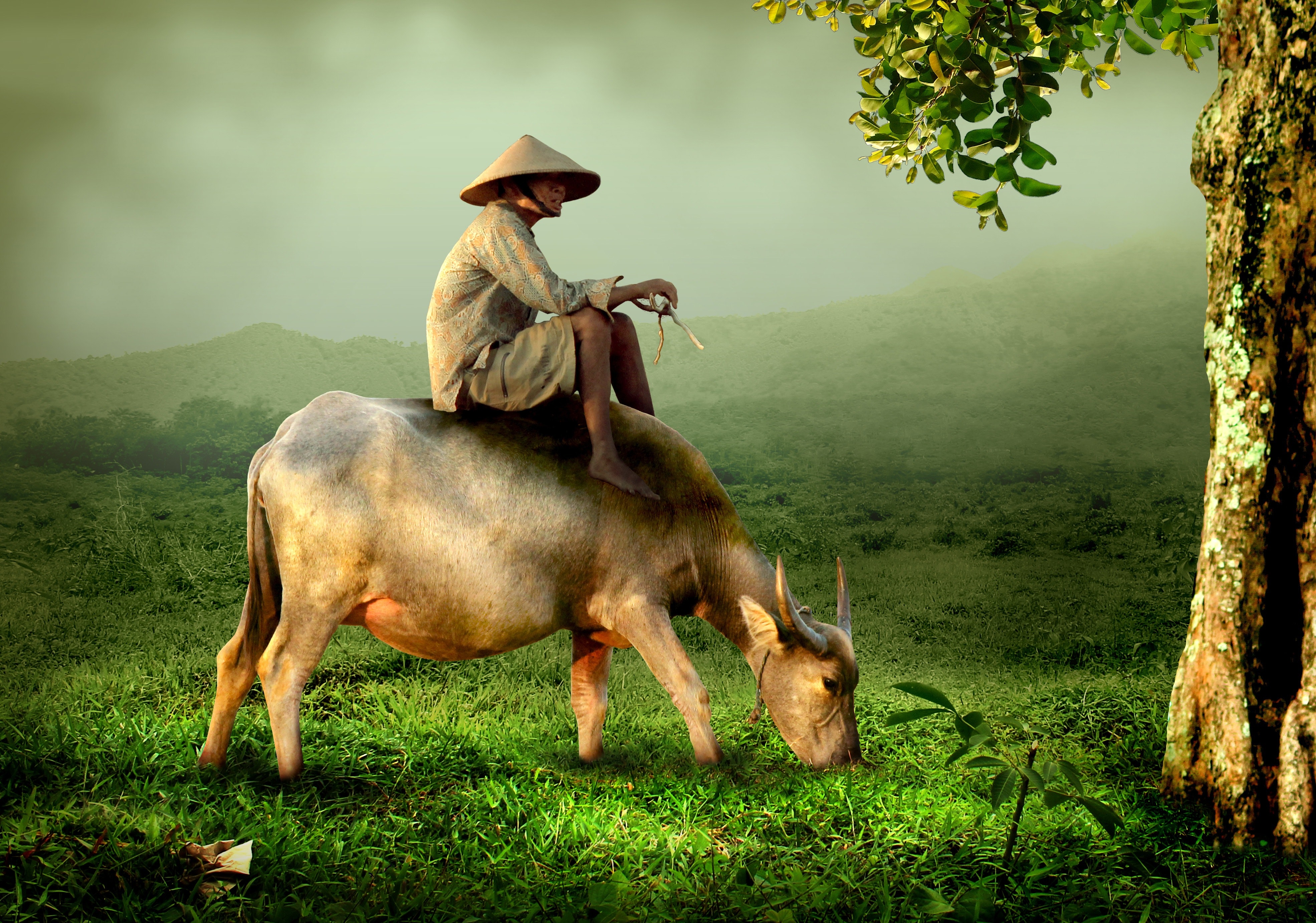 art-asian-buffalo-46152.jpg