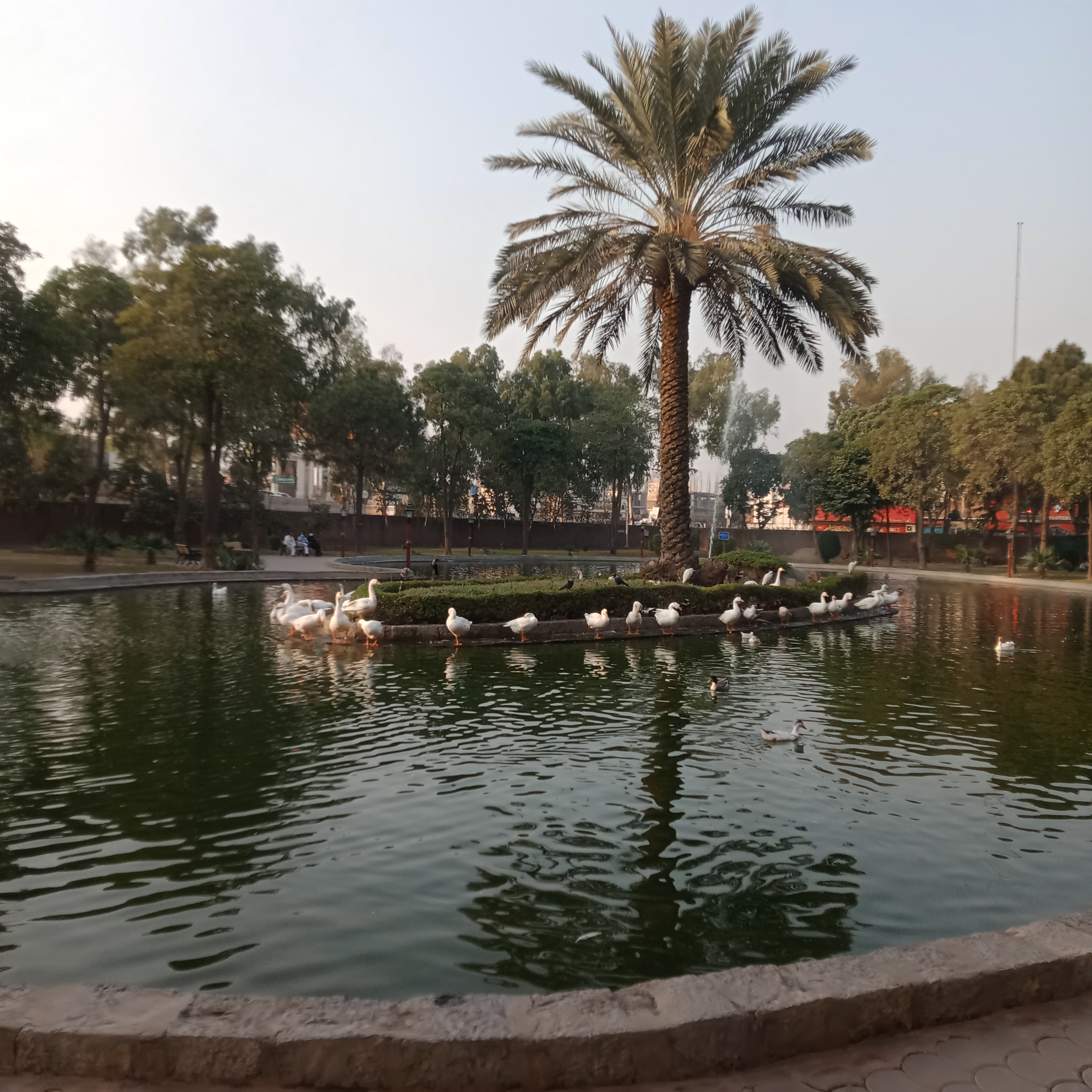 IMG20211204153524.jpg