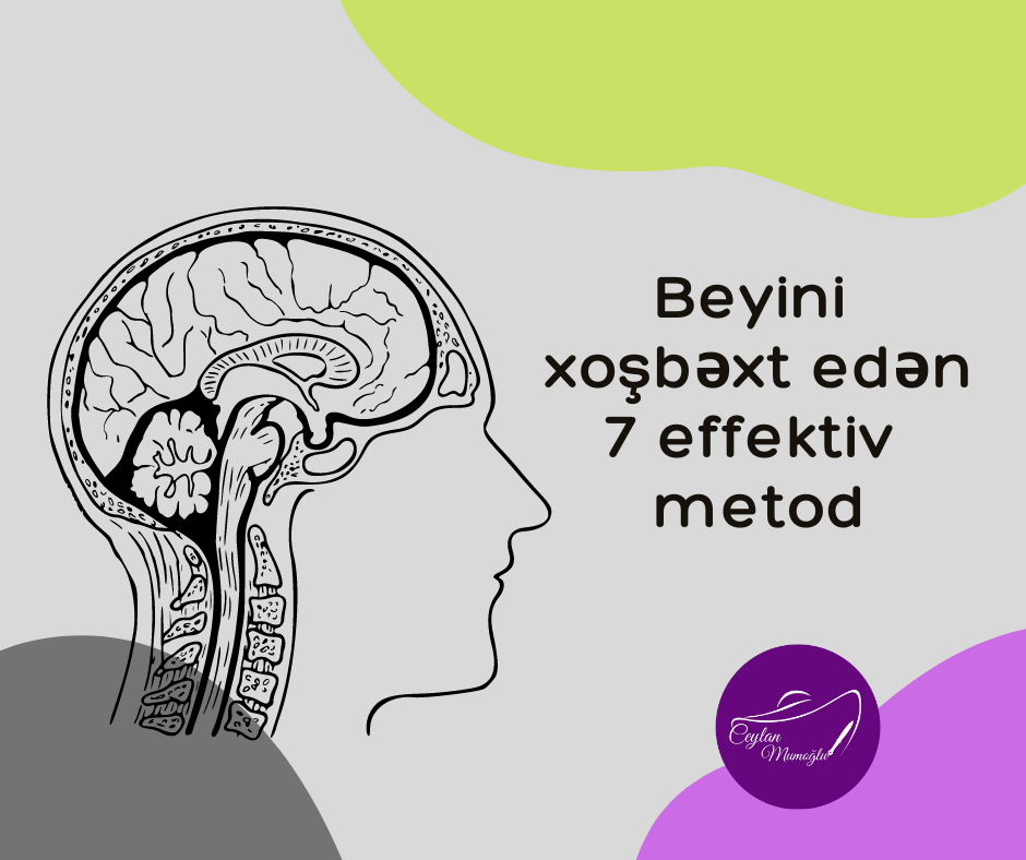 Beyin.png