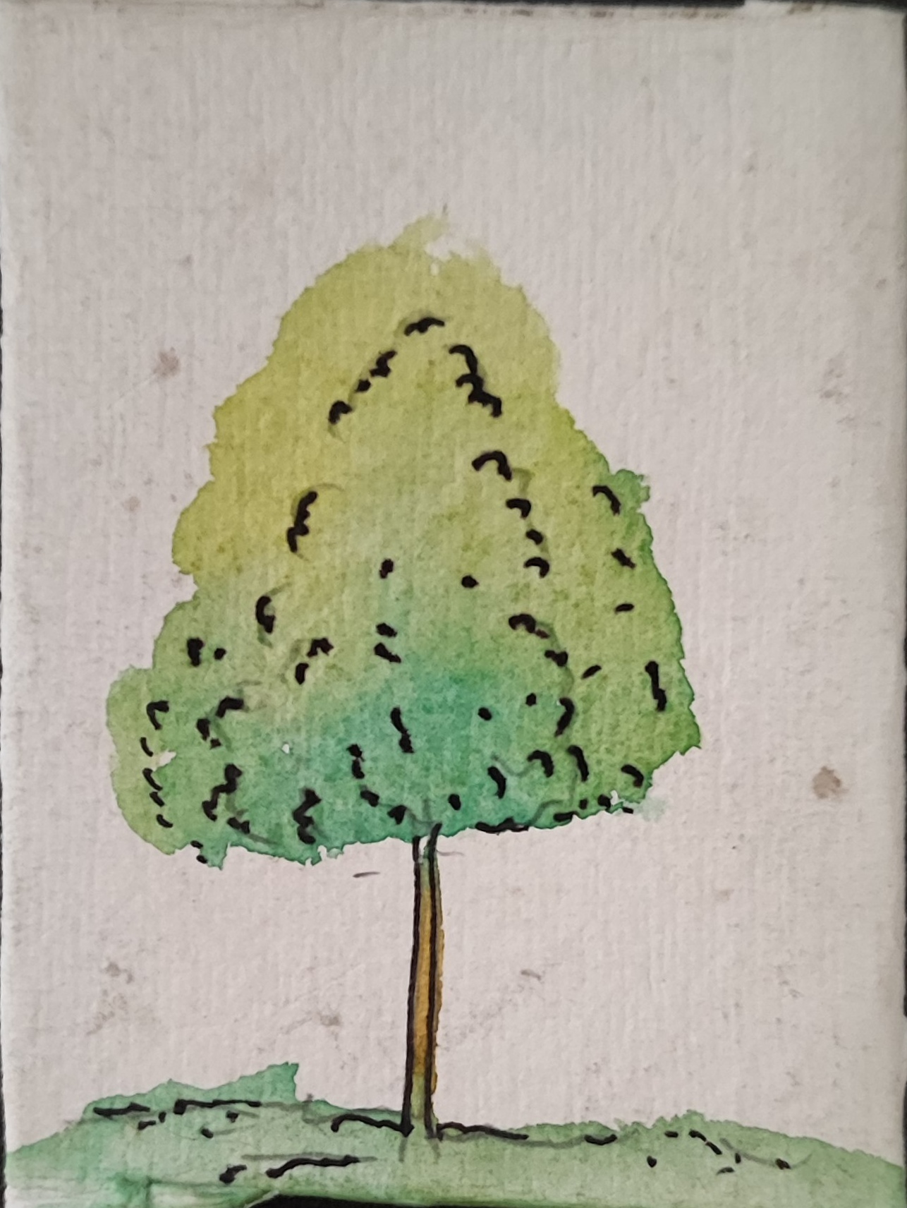 tree.jpg
