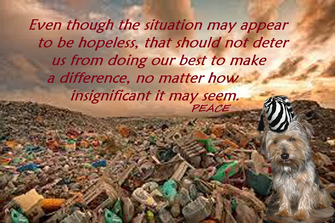 Foster's Wisdom Make a difference.jpg