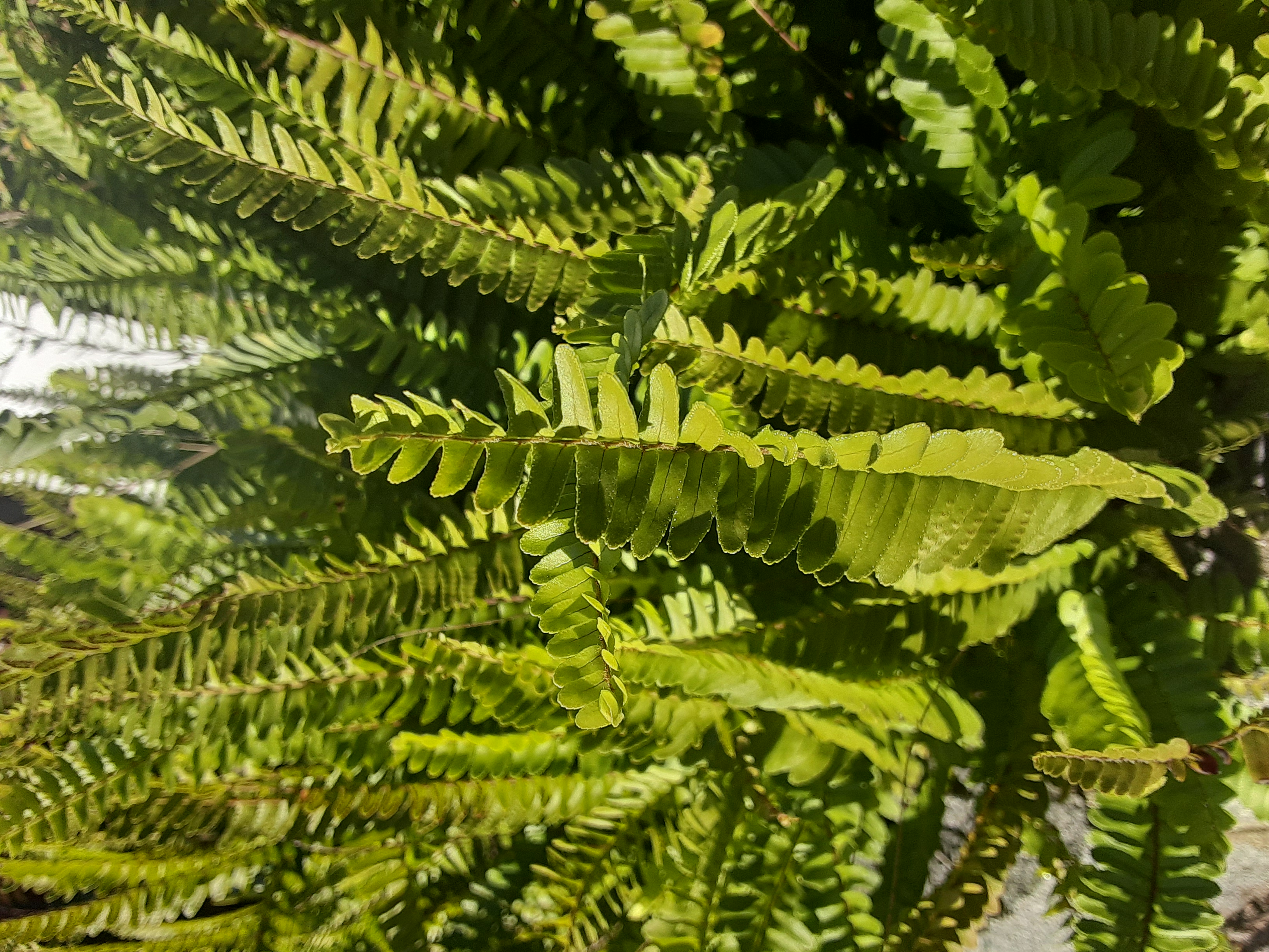 20250102_140557.jpg