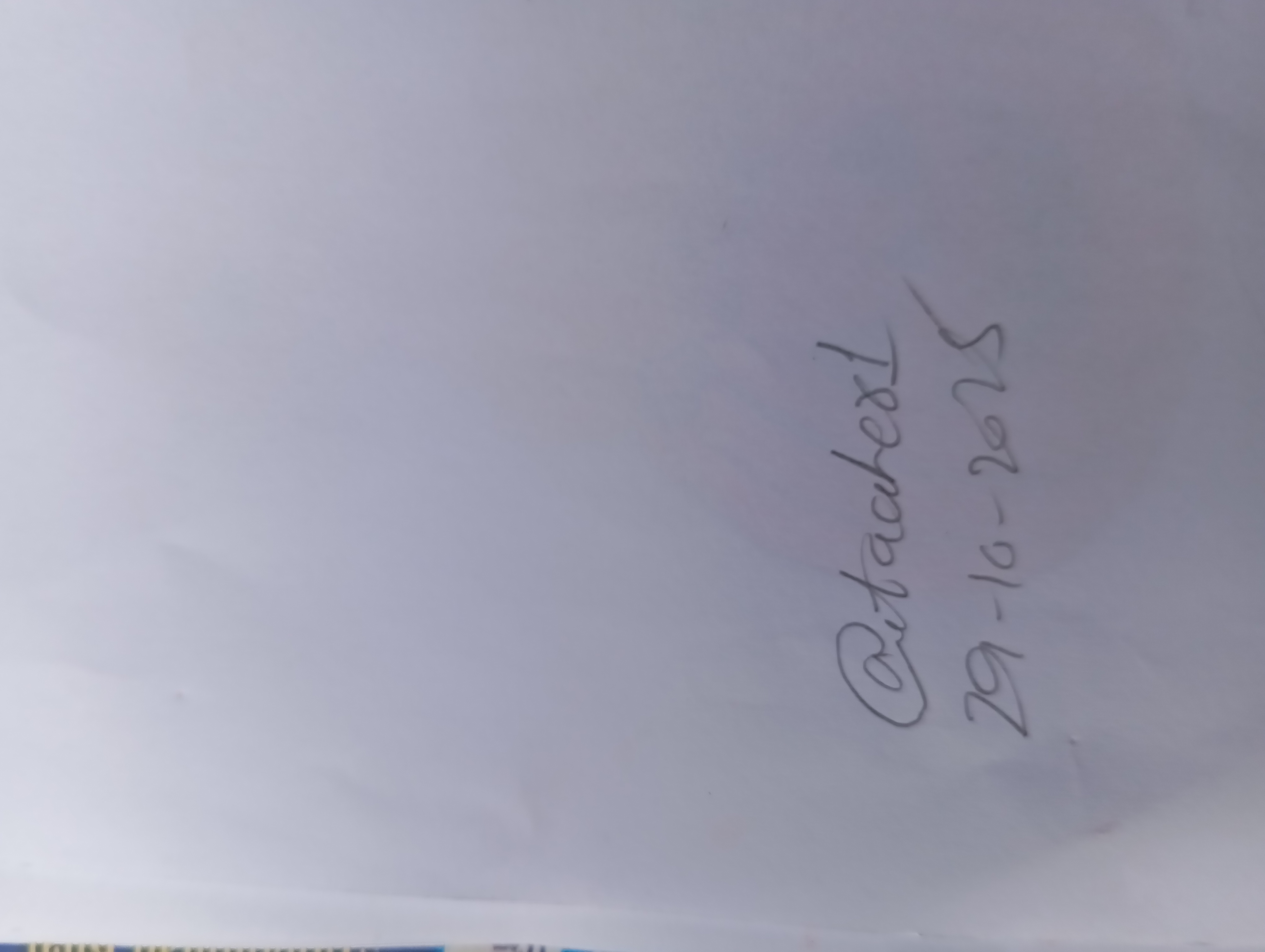 1000124054.jpg