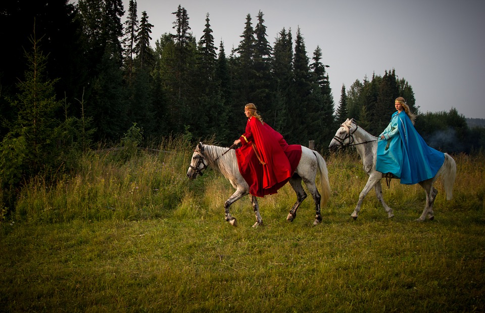 horse-2104178_960_720.jpg