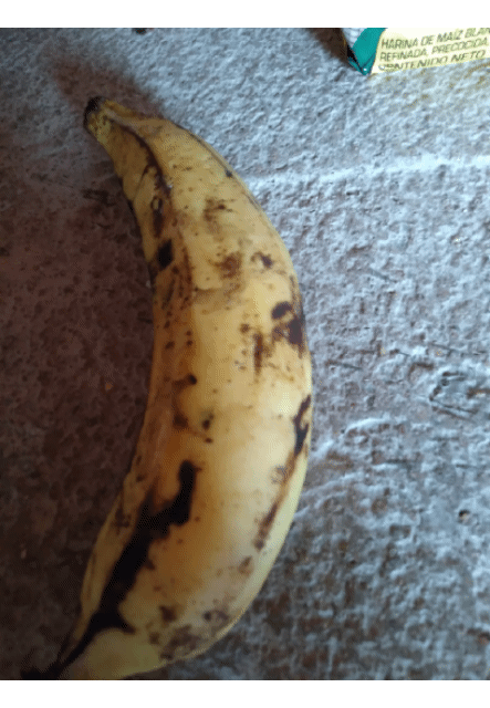 20210323_061454.gif