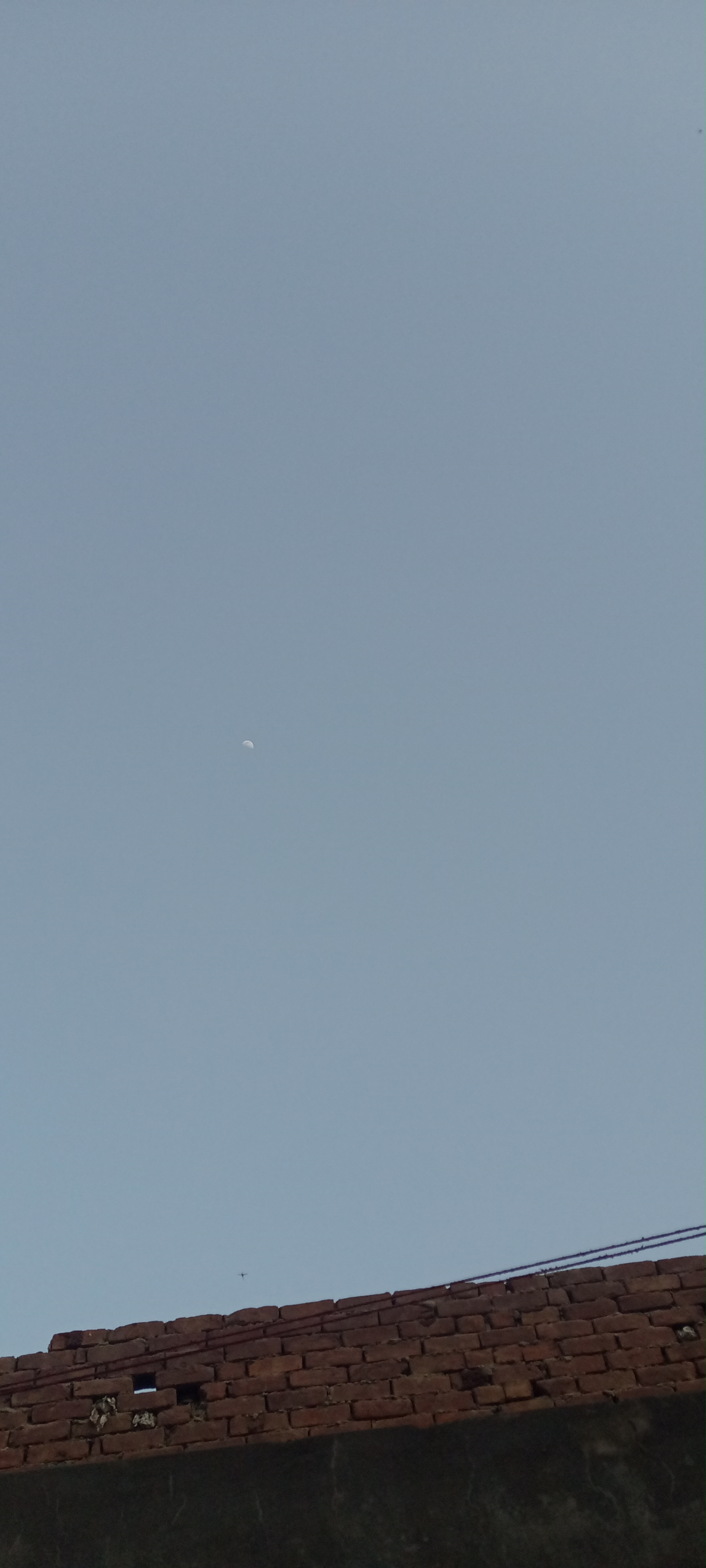IMG20210520175237.jpg