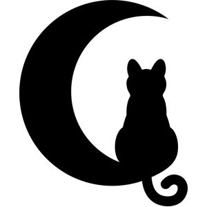 catmoonwarrior