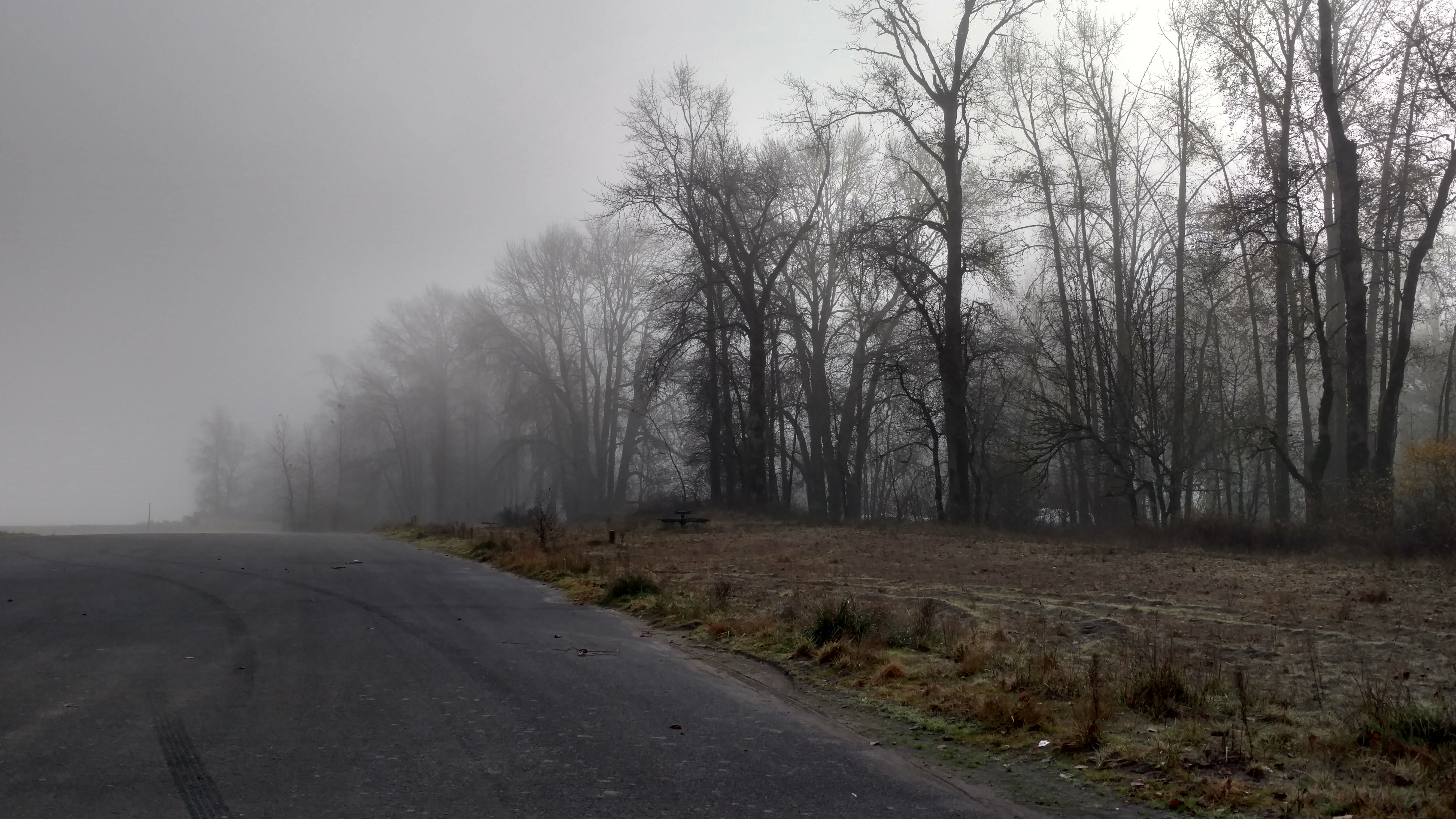 IMG_20191122_100400072_HDR.jpg