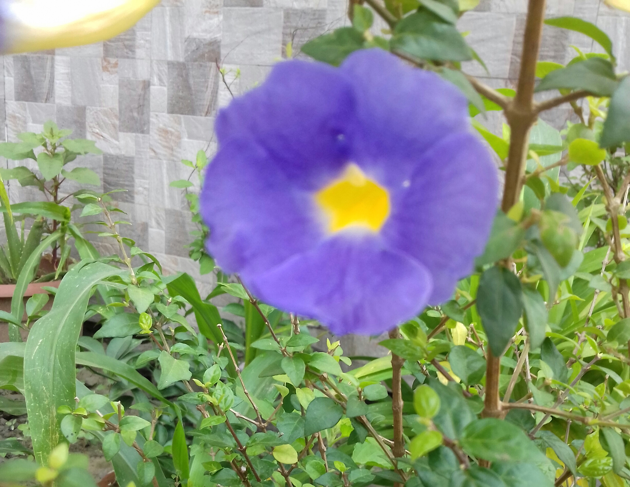 20180422_083326-1.jpg