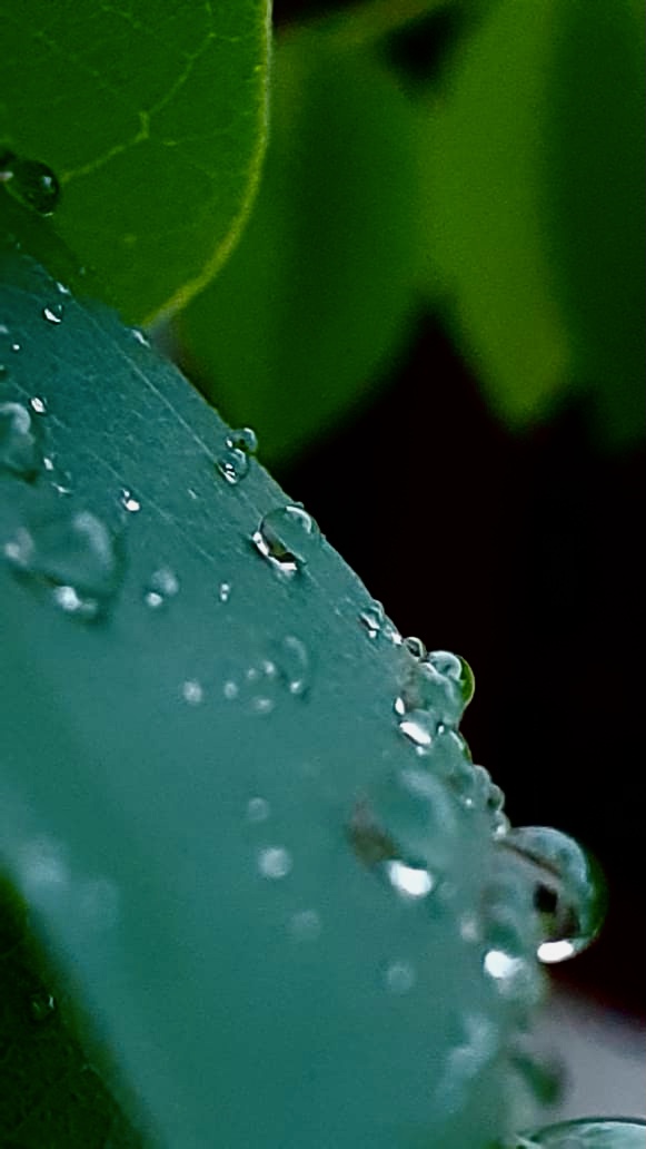 FBC6E5AD-811F-45D0-B1AC-778F7D6C3E3F.jpeg
