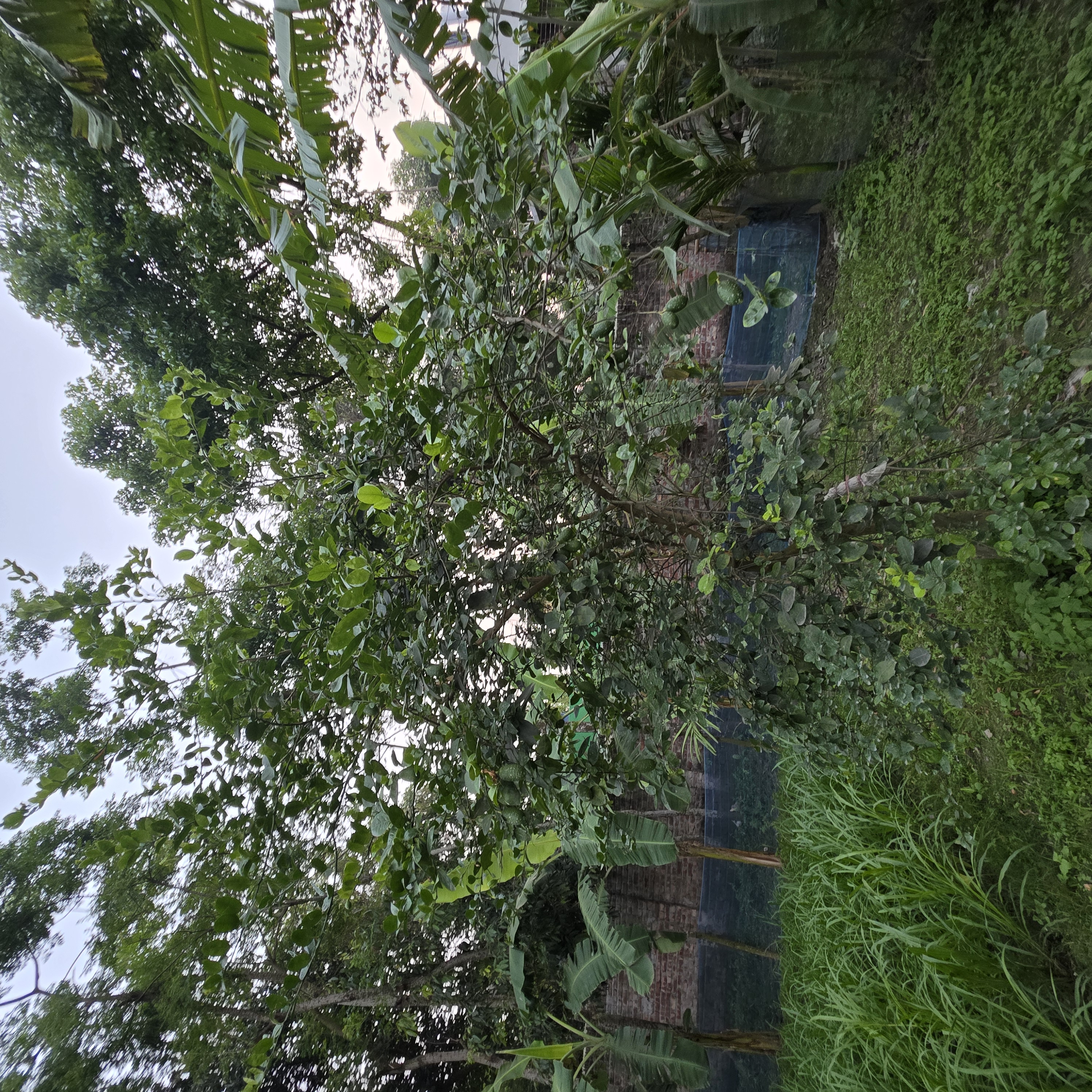 1000031980.jpg