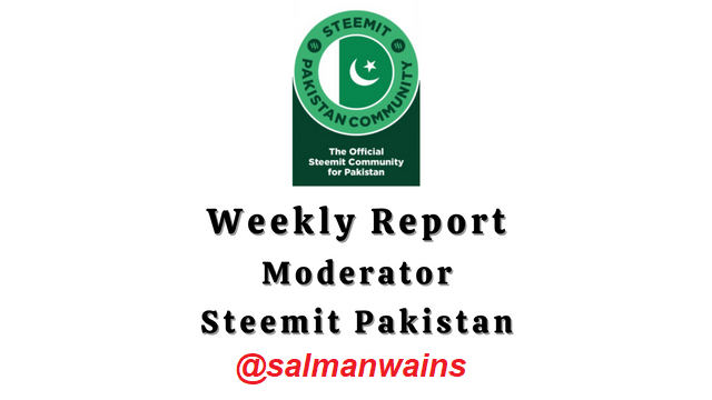 weekly report.png