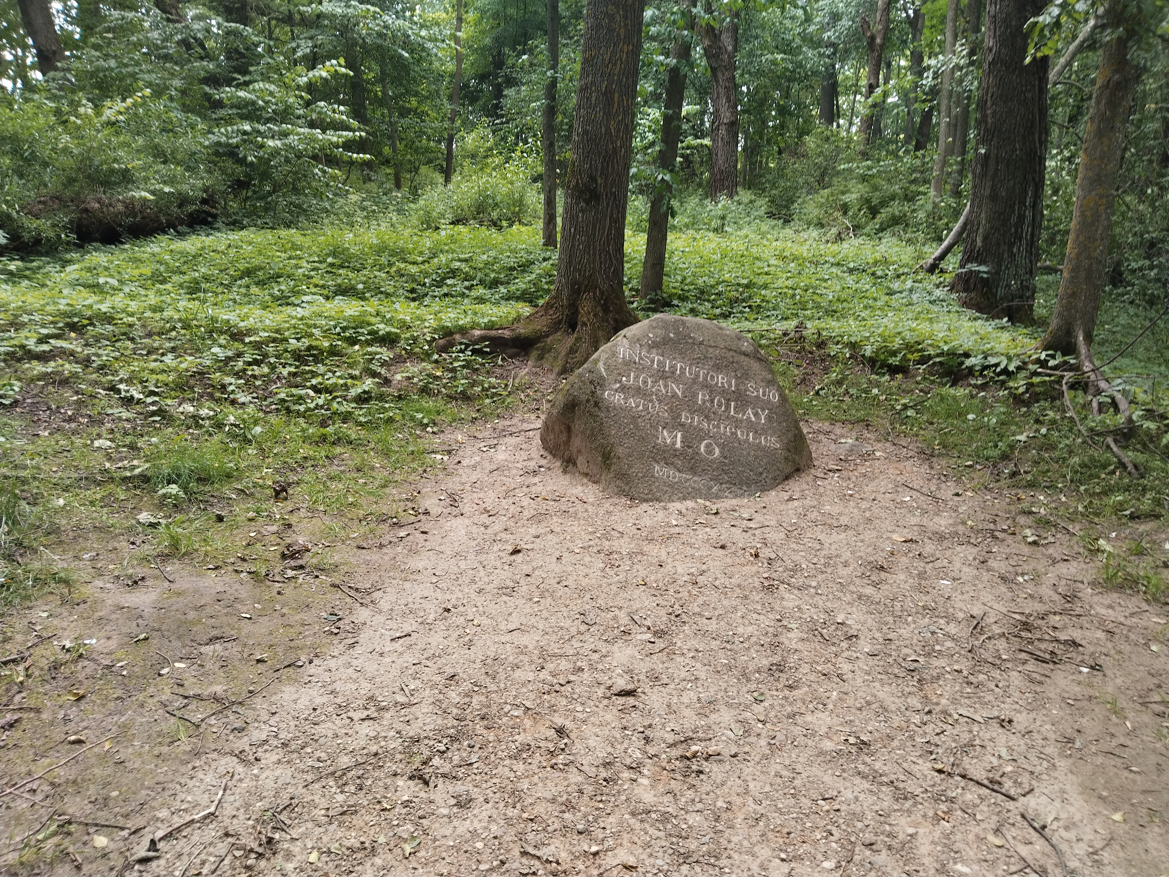 IMG_20250706_172537.jpg