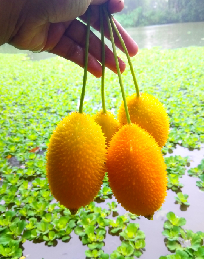 Image_1630512211.jpg