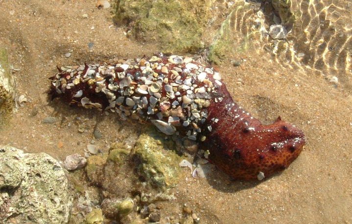 7645784_orig.jpg