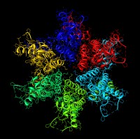 hiv-hexamer.jpg