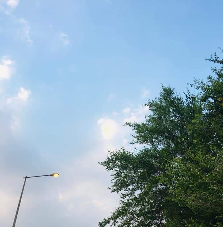 IMG_20221128_190618.jpg