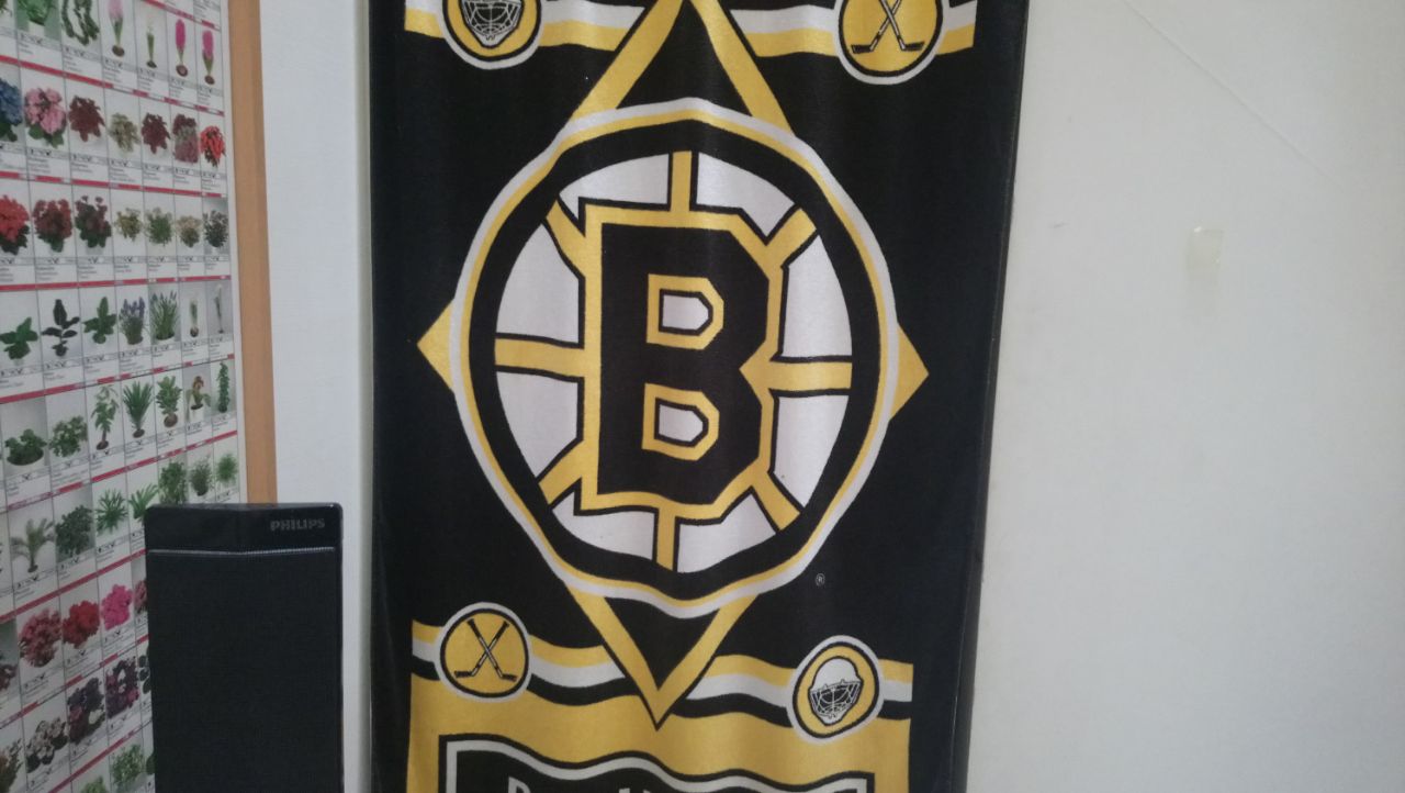 I love Boston Bruins because ...