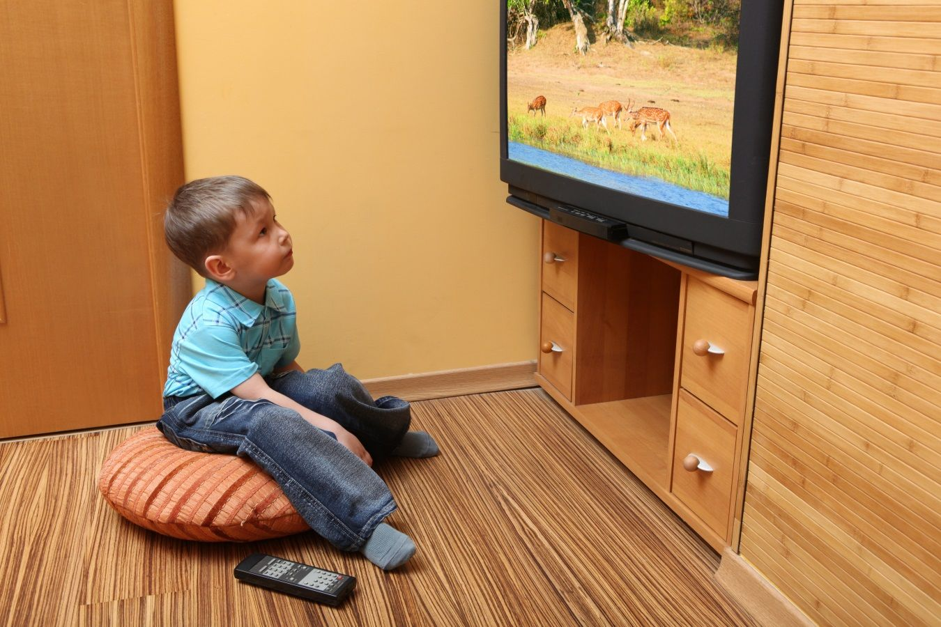 The boy is watching tv. Телевизор для детей. Мальчик у телевизора. Малыш и телевизор. Детские телевизоры для малышей.