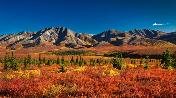 Denali3-1.jpg