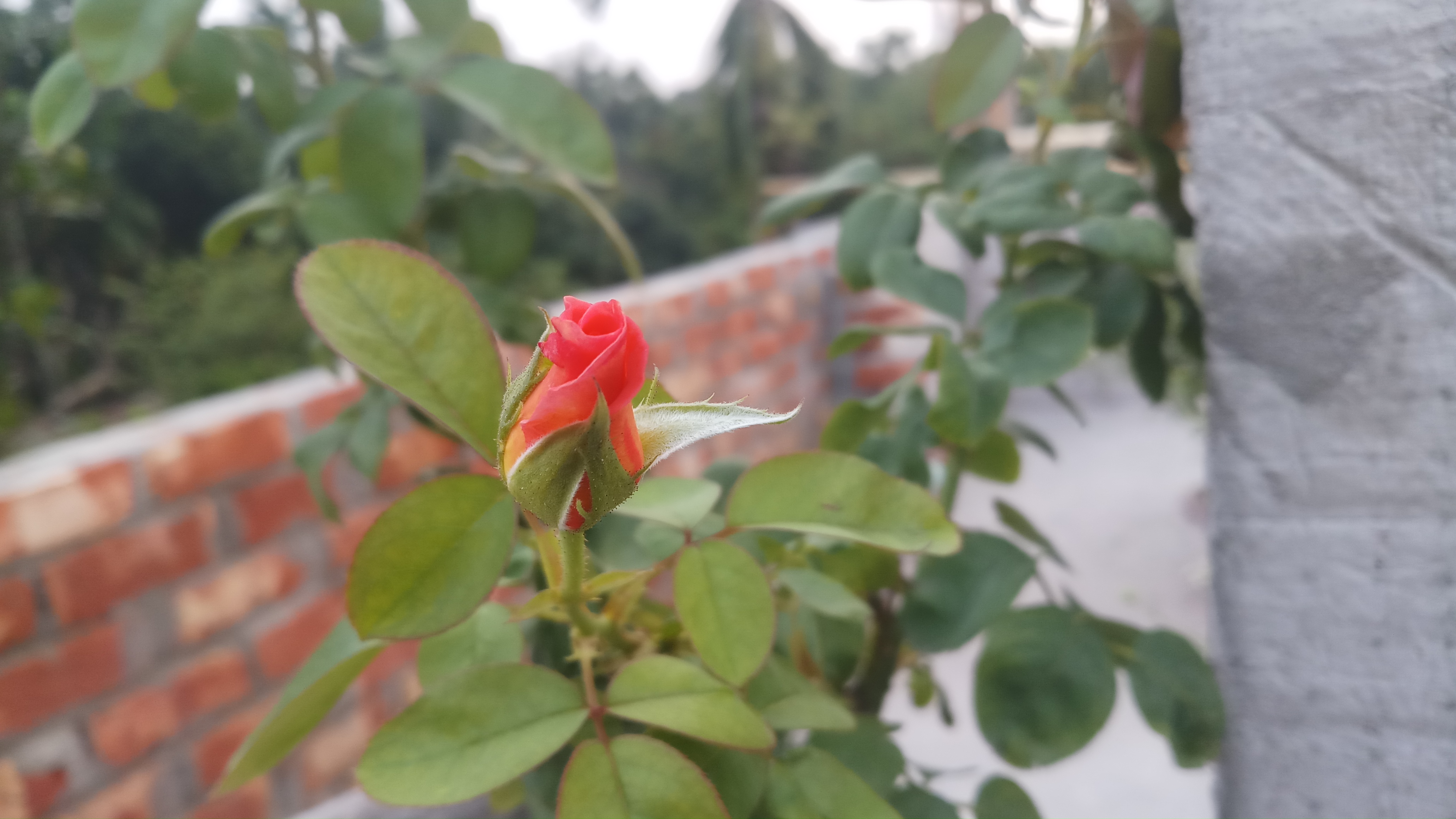 20190520_181245.jpg