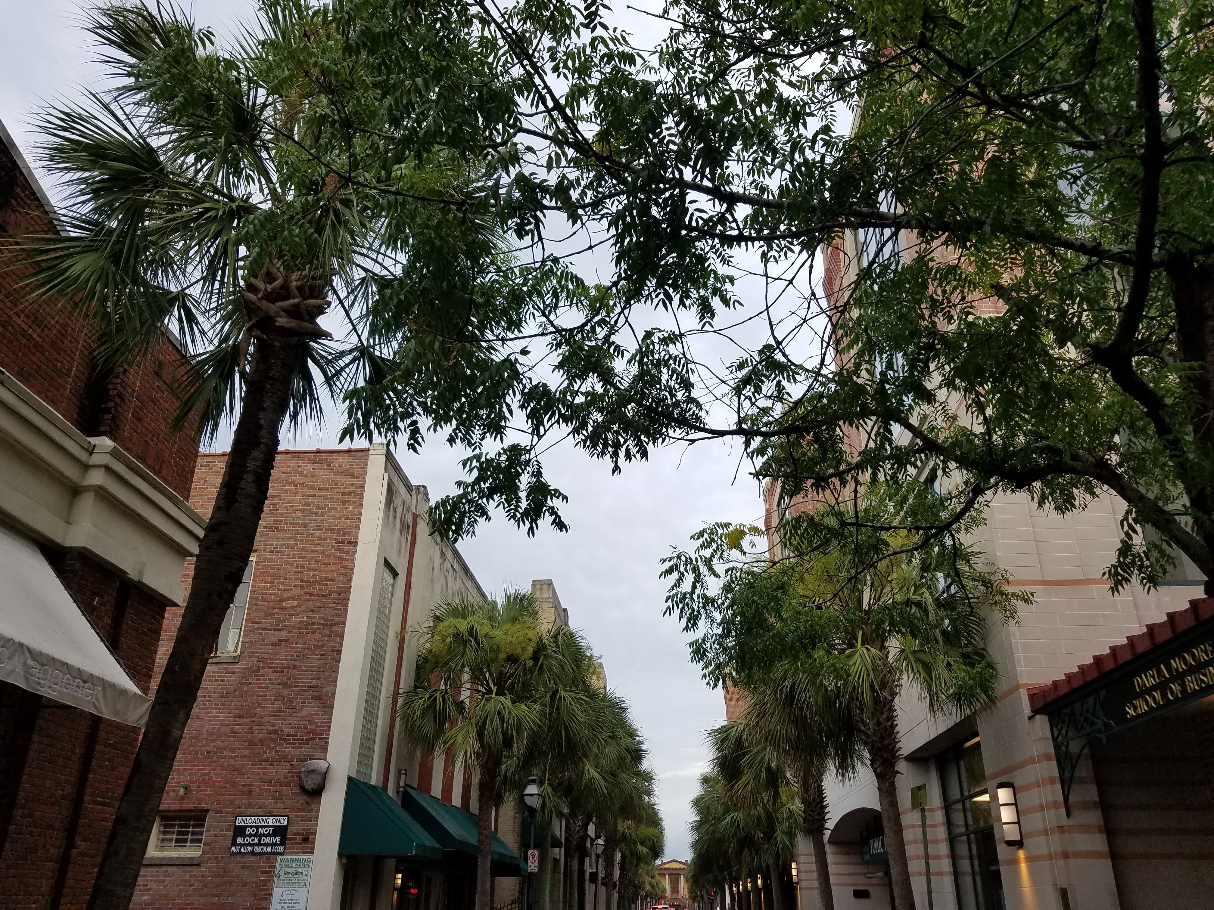 20190619_193048.jpg