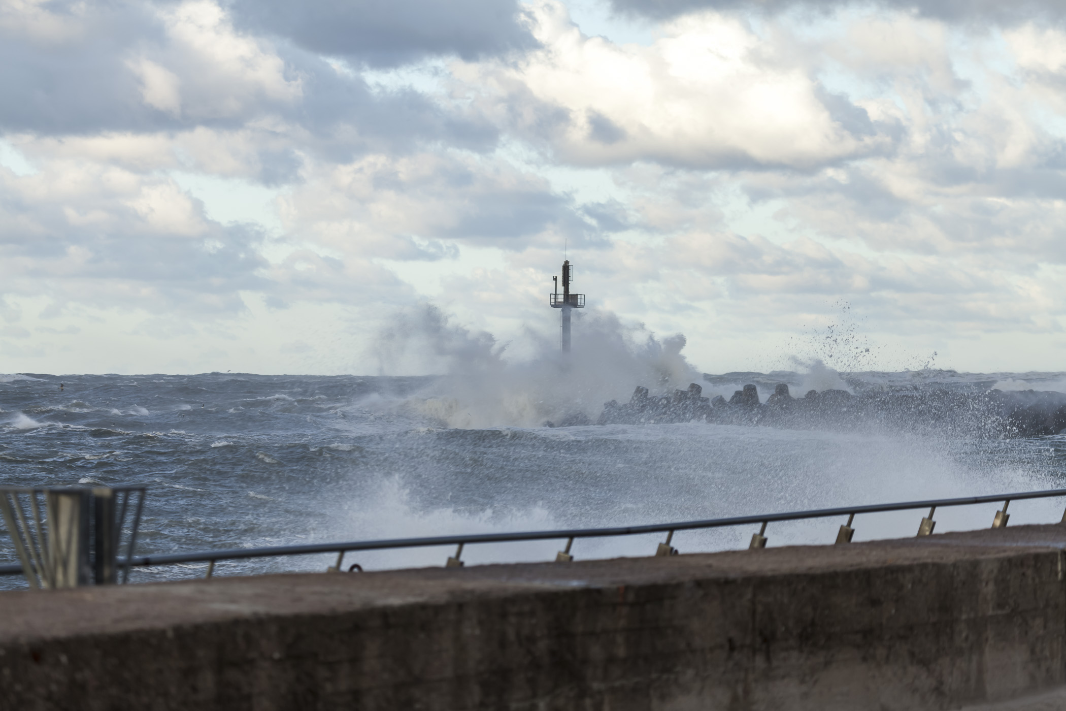 _MG_5461.jpg