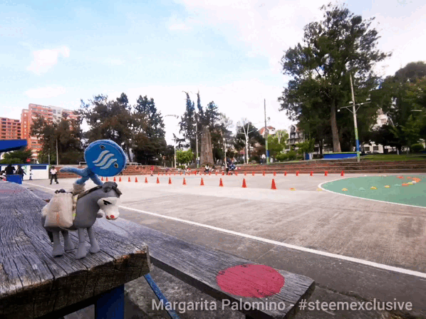 InShot_20220901_010341256.gif