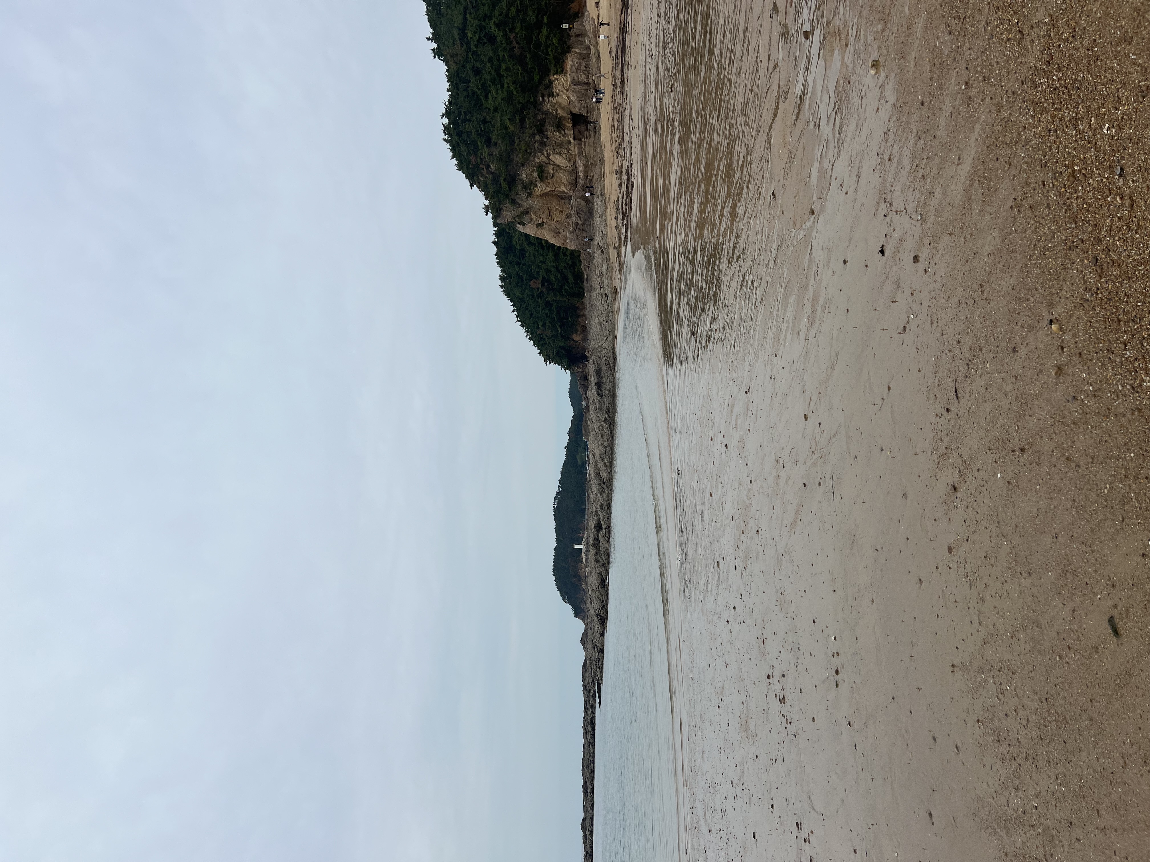 IMG_5409.jpeg
